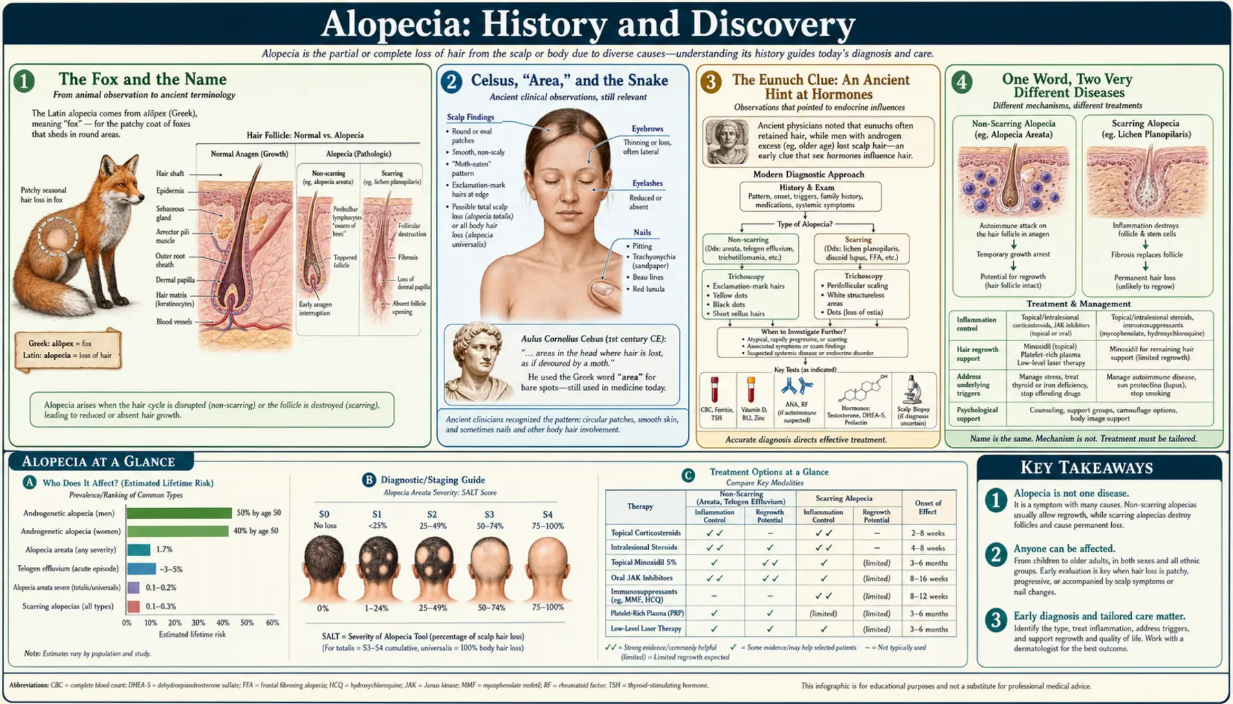 History — scientific infographic poster