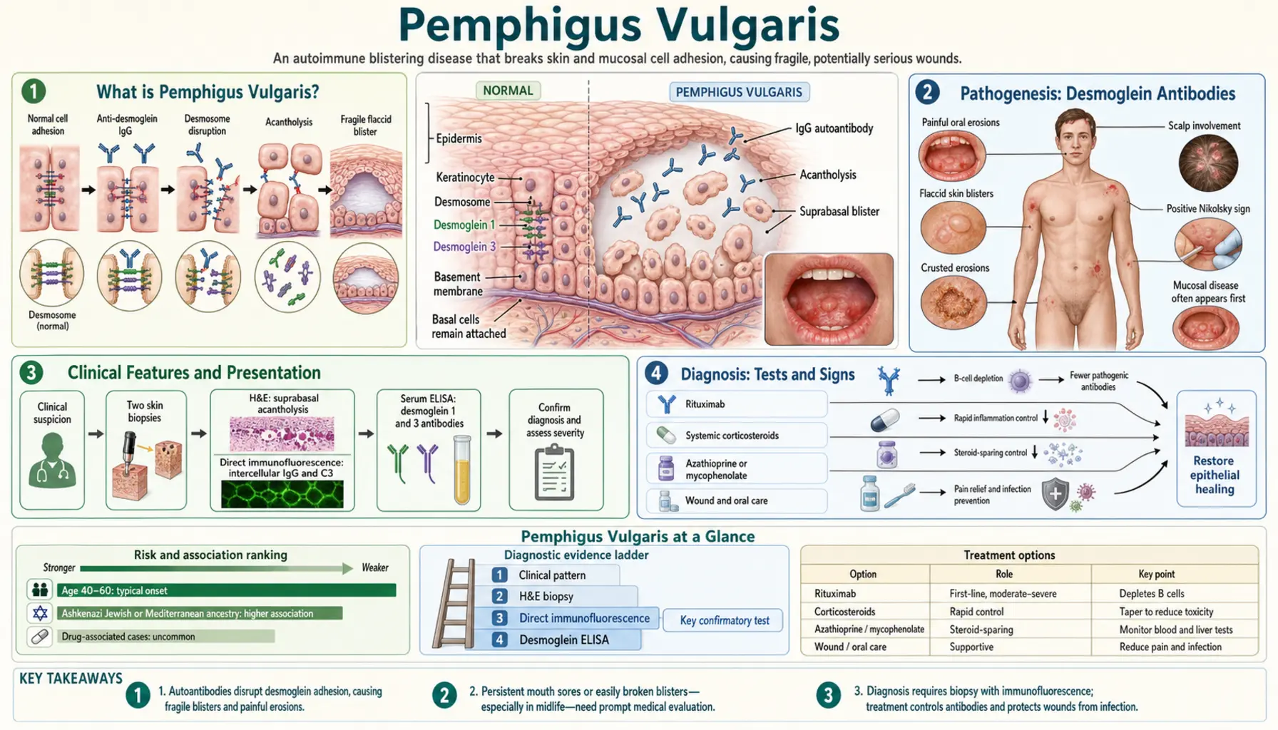 Pemphigus Vulgaris — scientific infographic poster