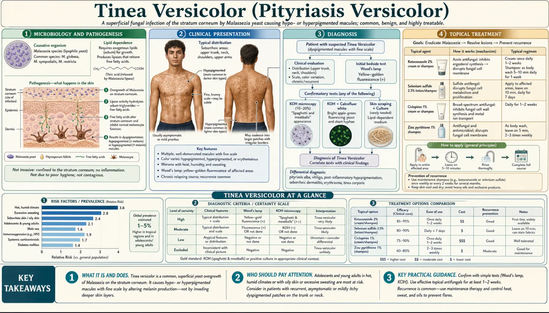Tinea Versicolor — scientific infographic poster