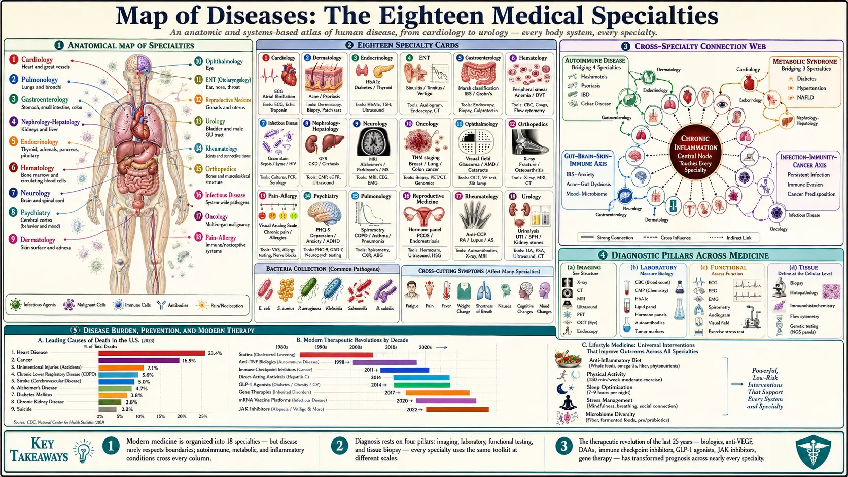 Diseases — scientific infographic poster