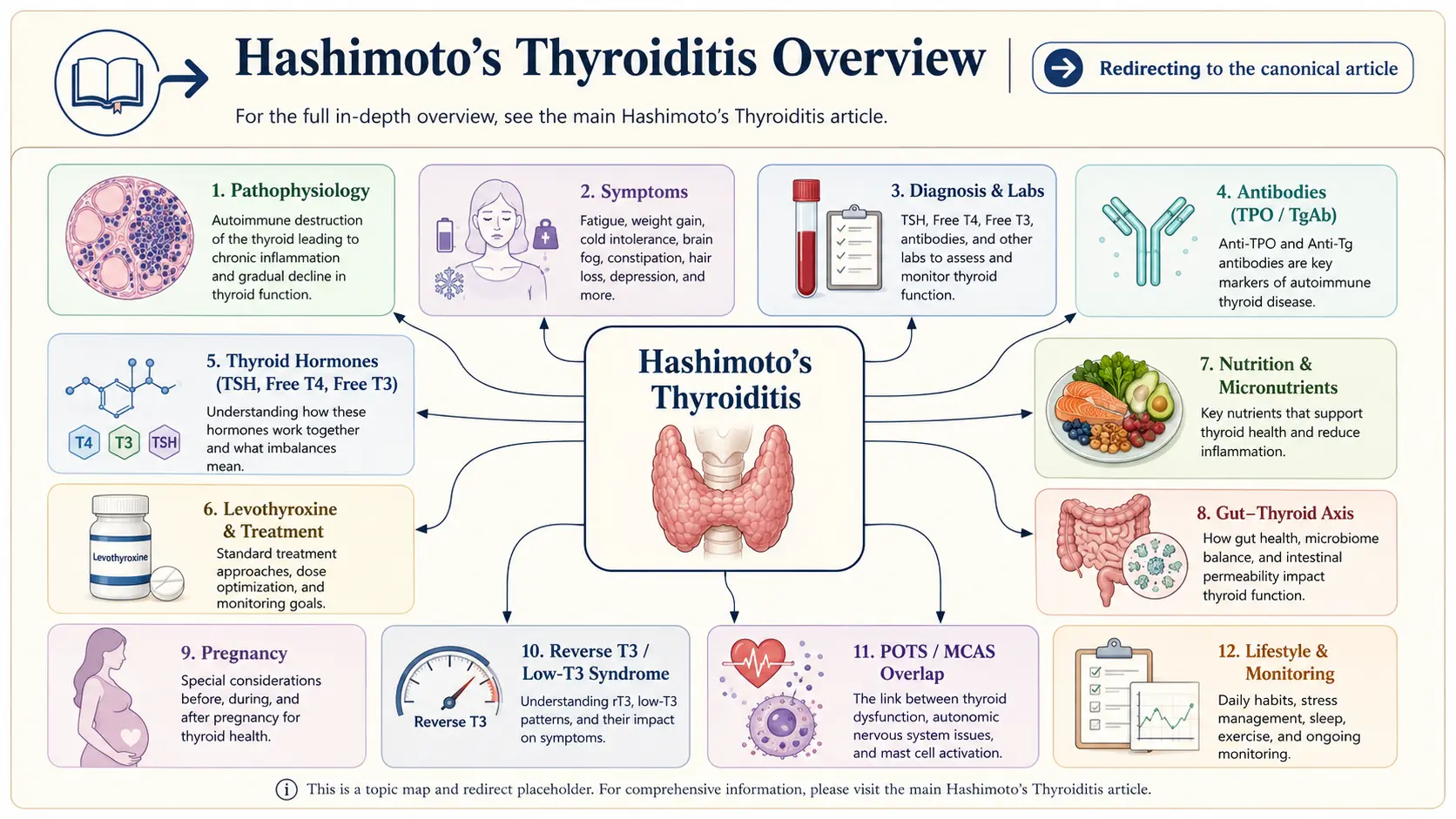 Hashimotos Thyroiditis — scientific infographic poster