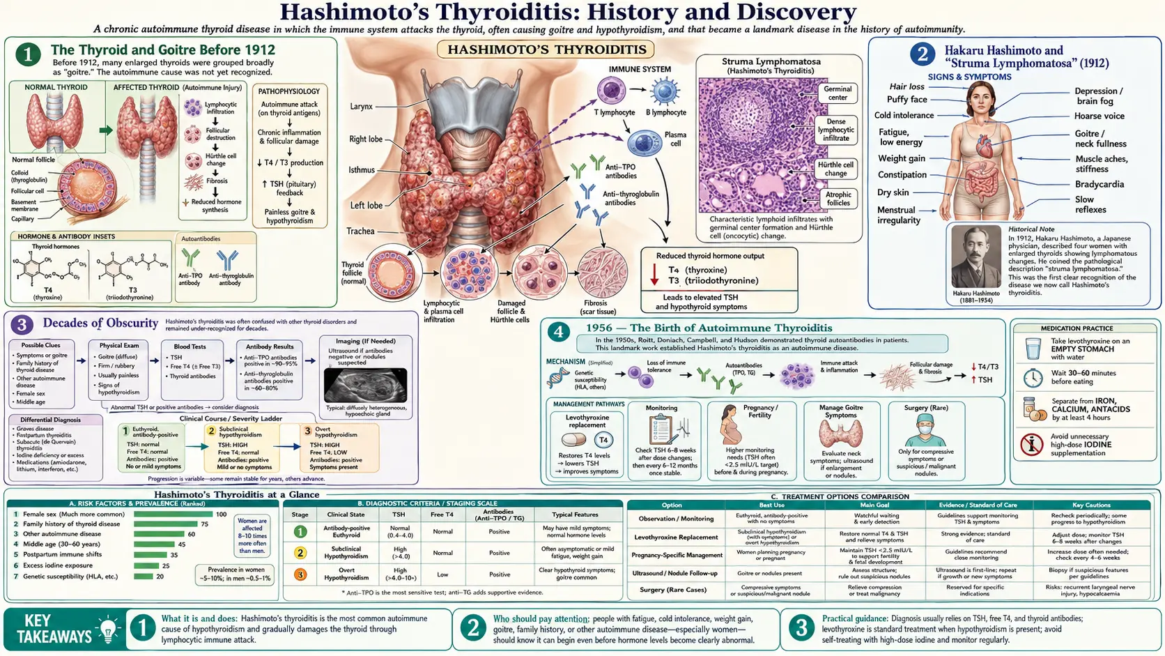 History — scientific infographic poster