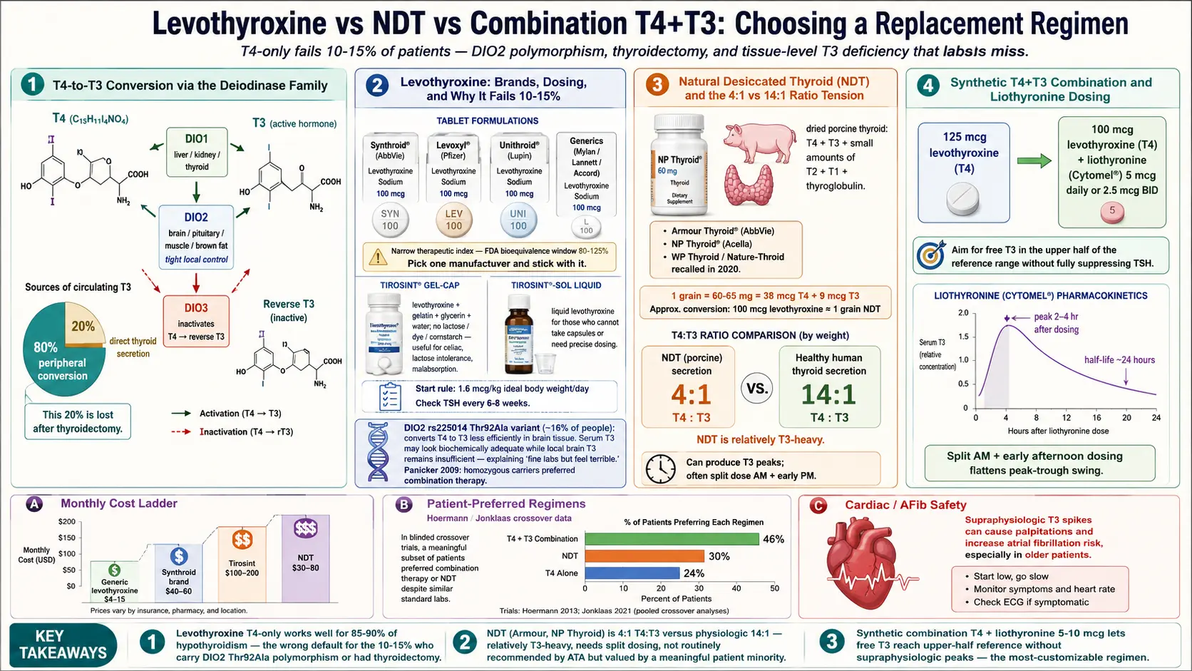 Levothyroxine vs NDT vs T3 — scientific infographic poster