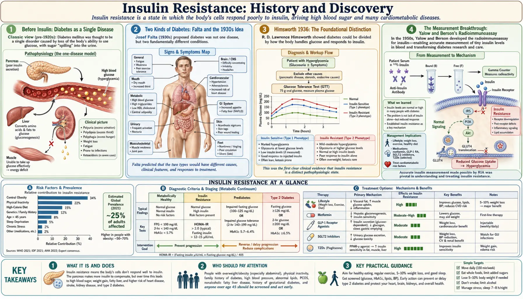 History — scientific infographic poster