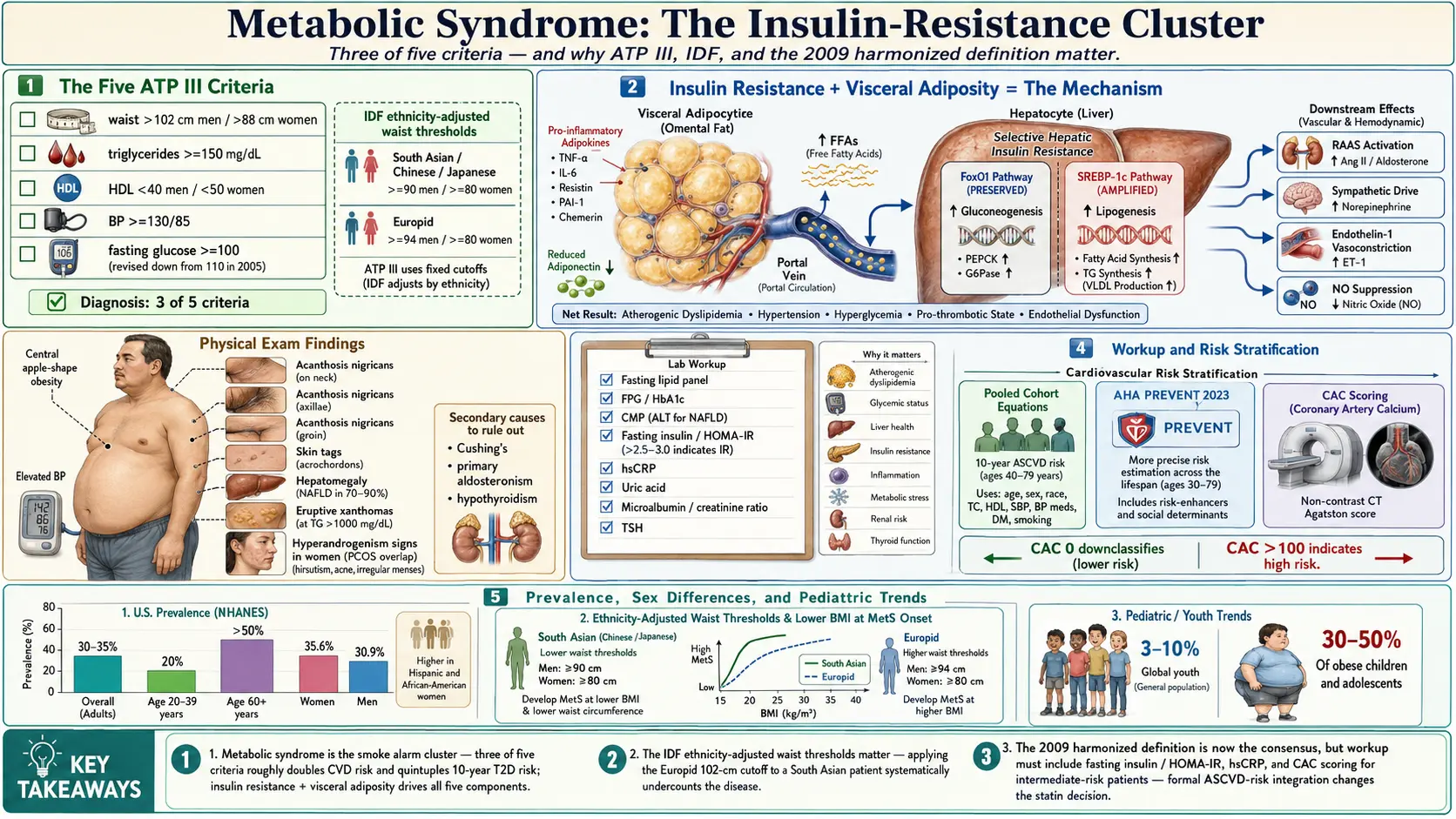 Metabolic Syndrome — scientific infographic poster