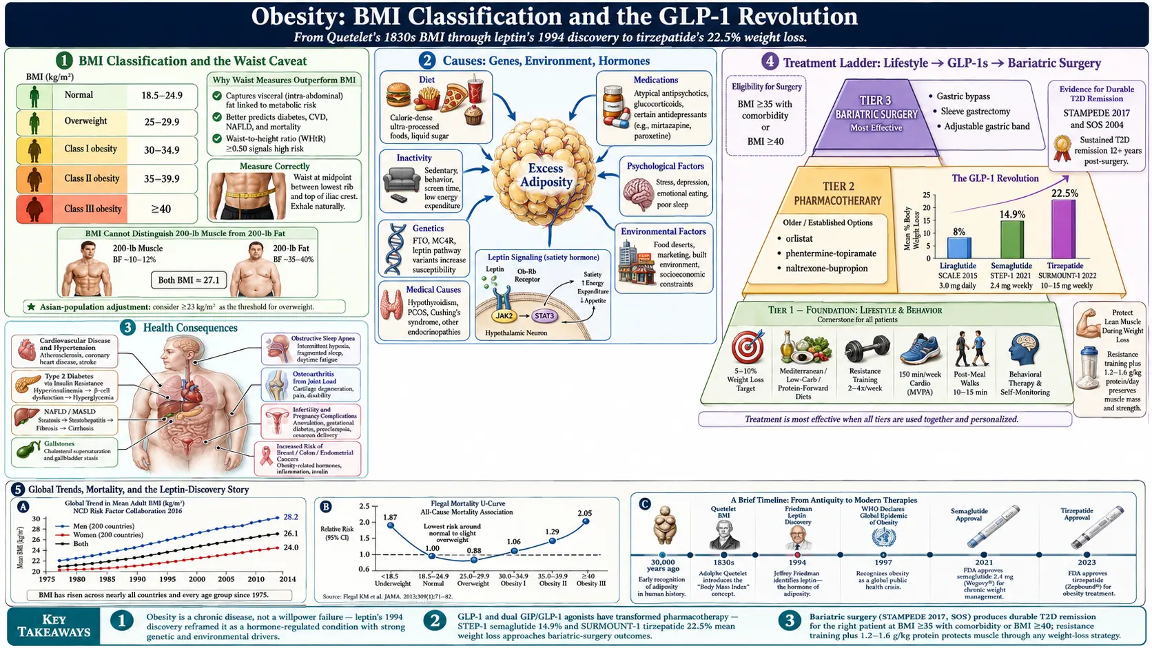 Obesity — scientific infographic poster