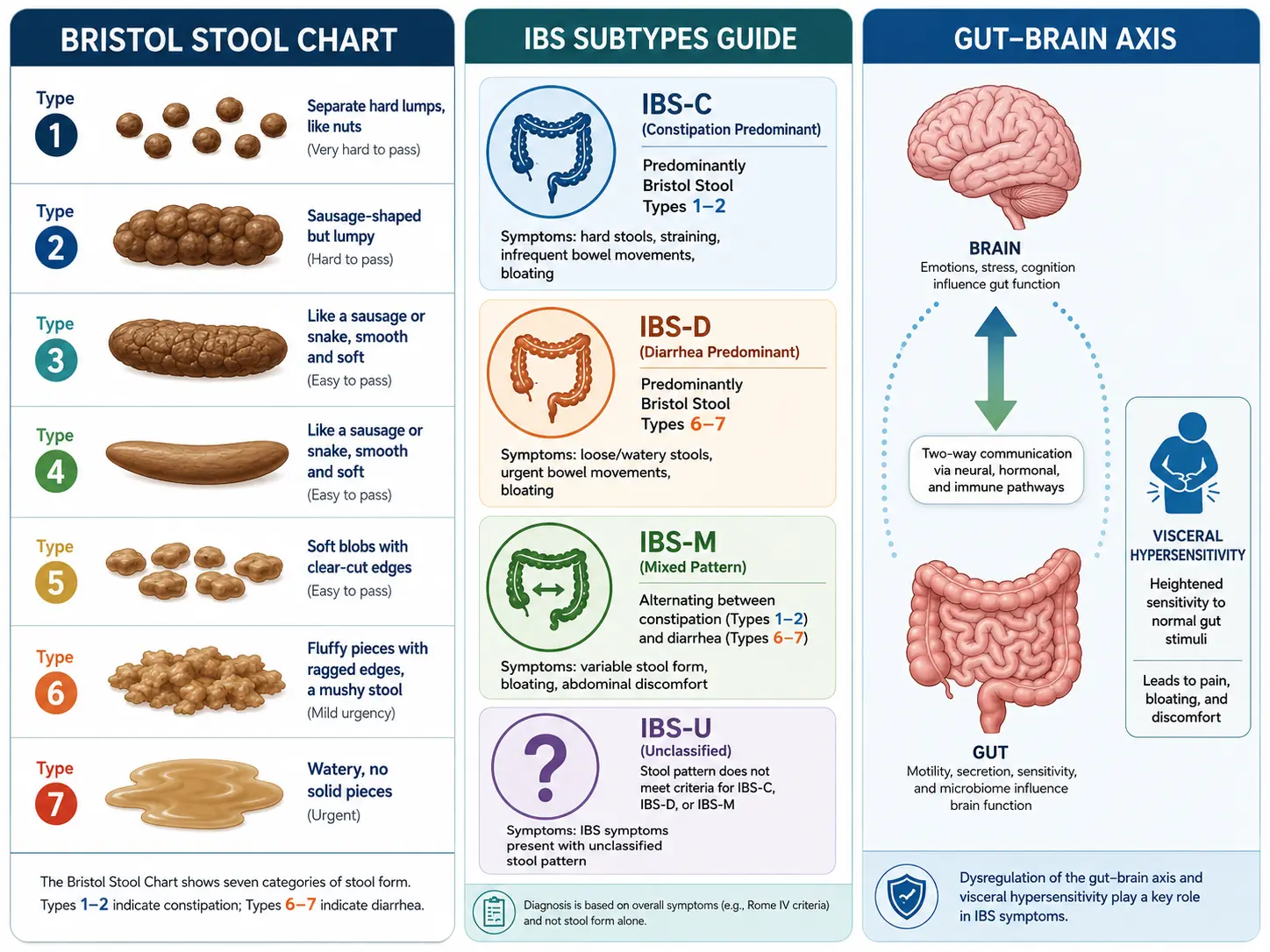 IBS subtypes and the Bristol stool scale