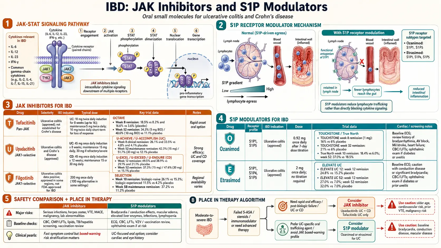JAK Inhibitors and S1P Modulators — scientific infographic poster
