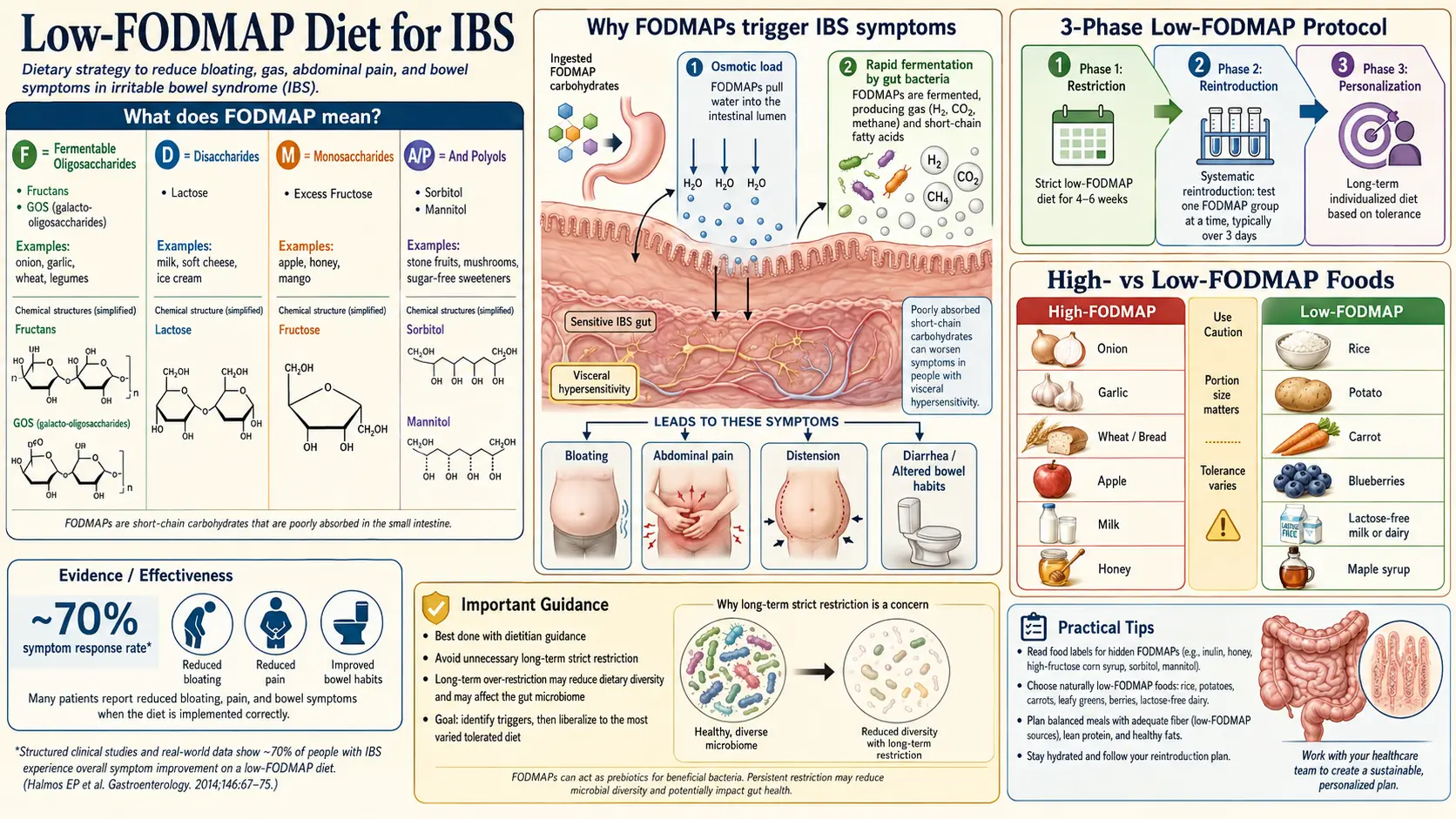 Low FODMAP Diet for IBS — scientific infographic poster
