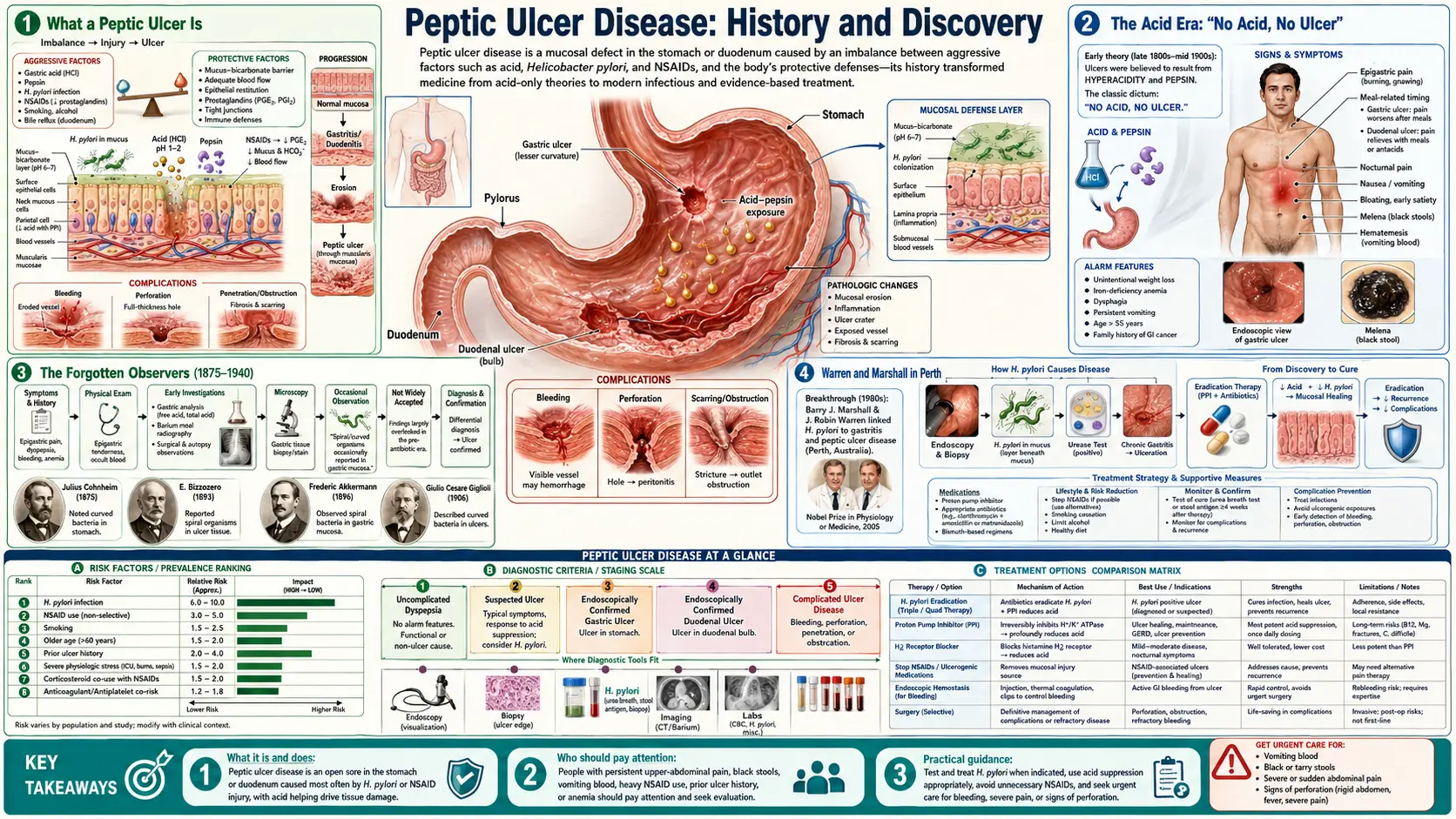 History — scientific infographic poster