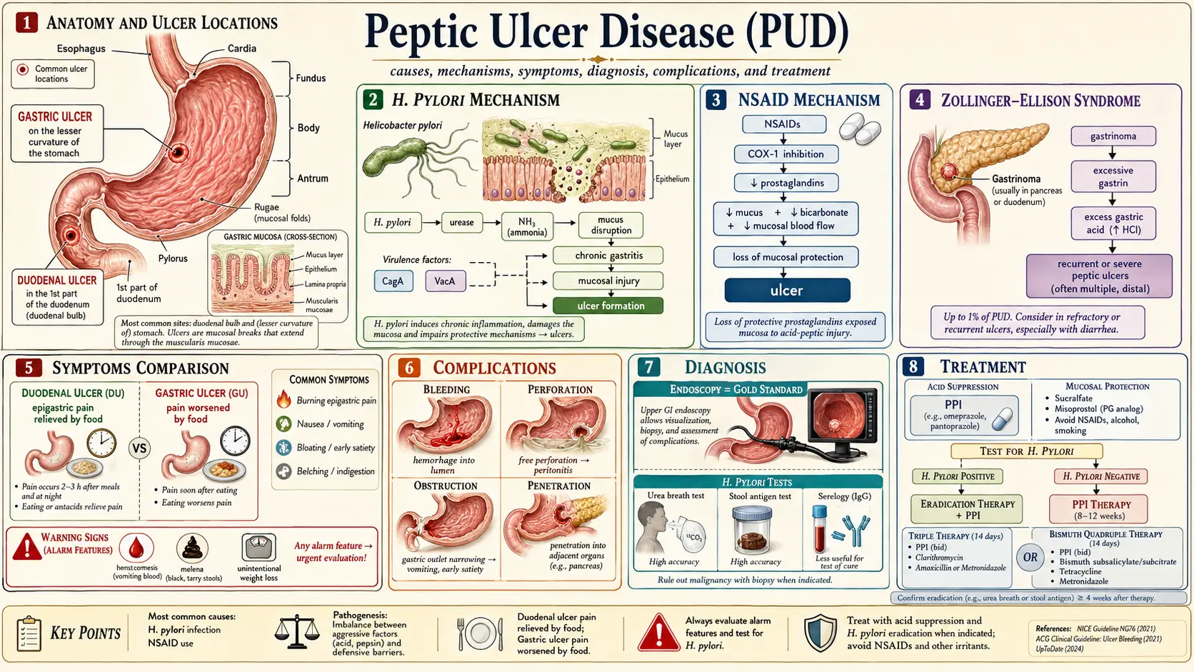 Peptic Ulcer Disease — scientific infographic poster
