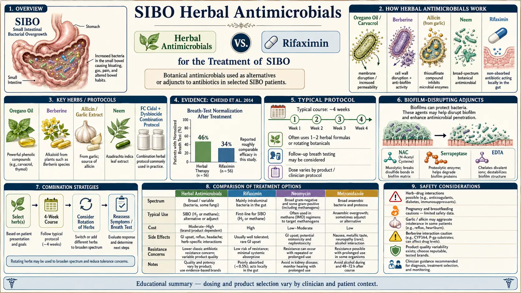 Herbal Antimicrobials — scientific infographic poster