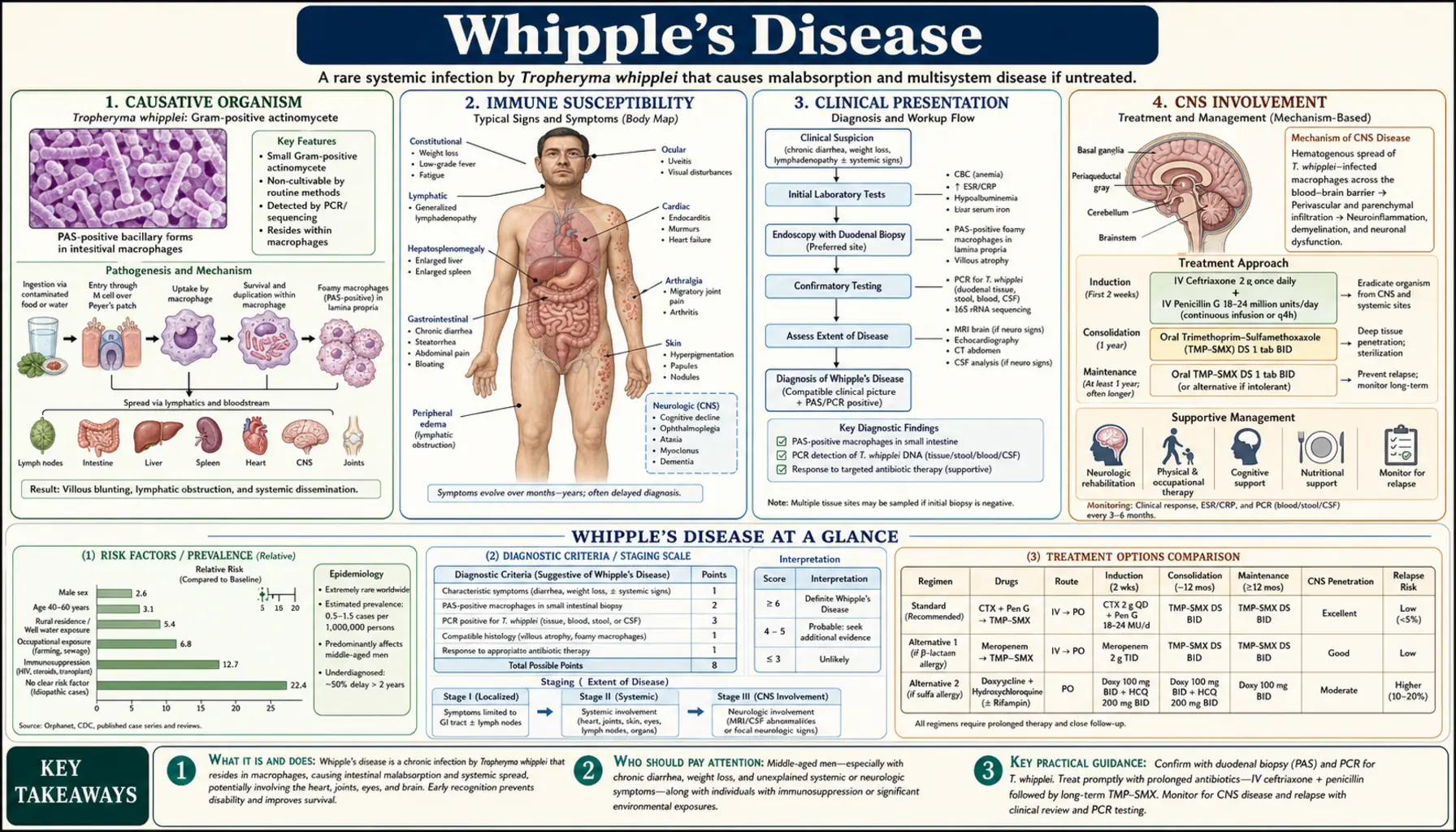 Whipples Disease — scientific infographic poster