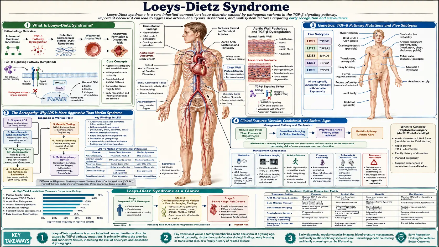 Loeys Dietz Syndrome — scientific infographic poster
