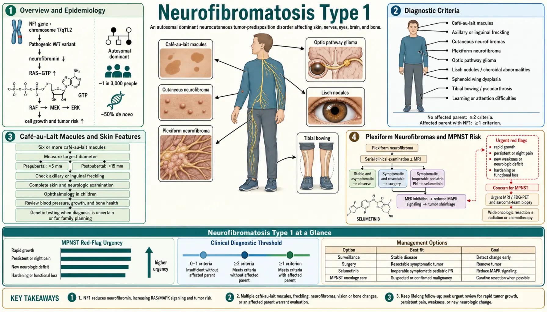 Neurofibromatosis Type 1 — scientific infographic poster