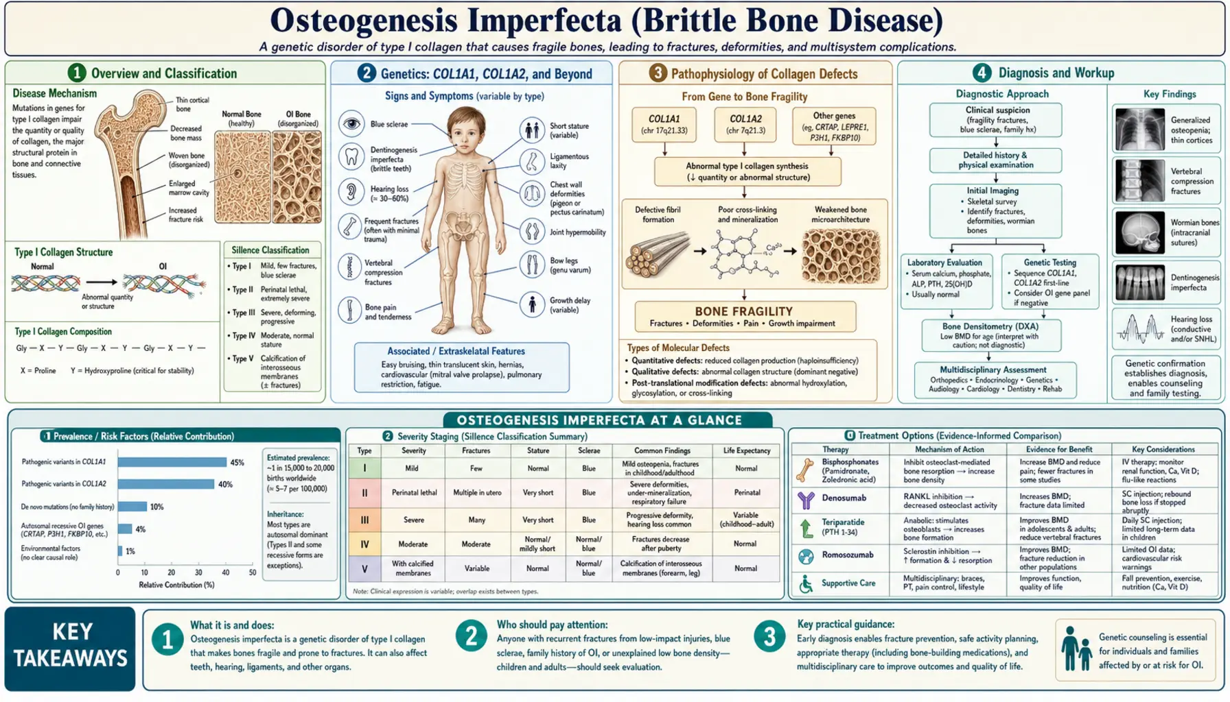 Osteogenesis Imperfecta — scientific infographic poster