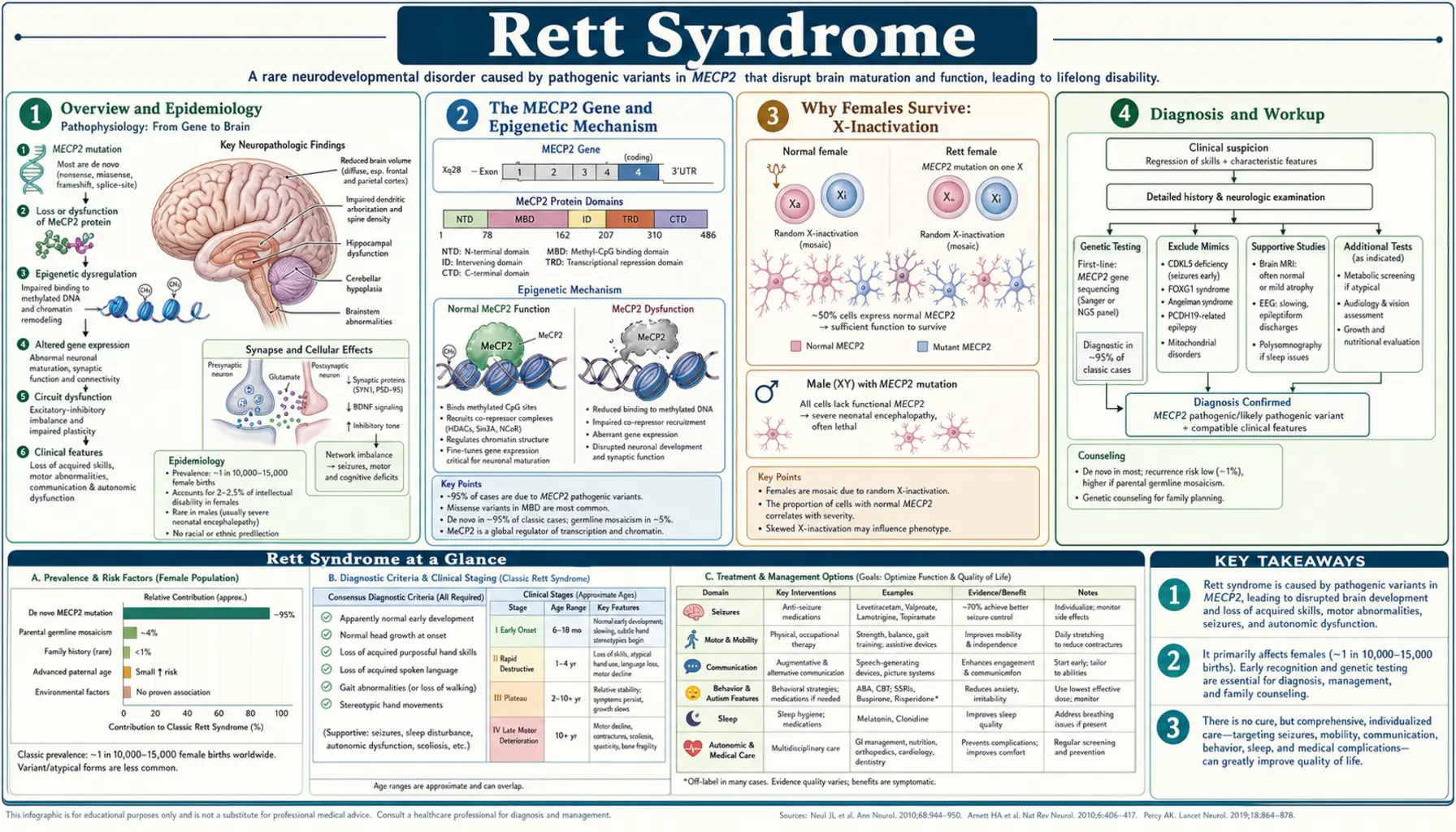 Rett Syndrome — scientific infographic poster
