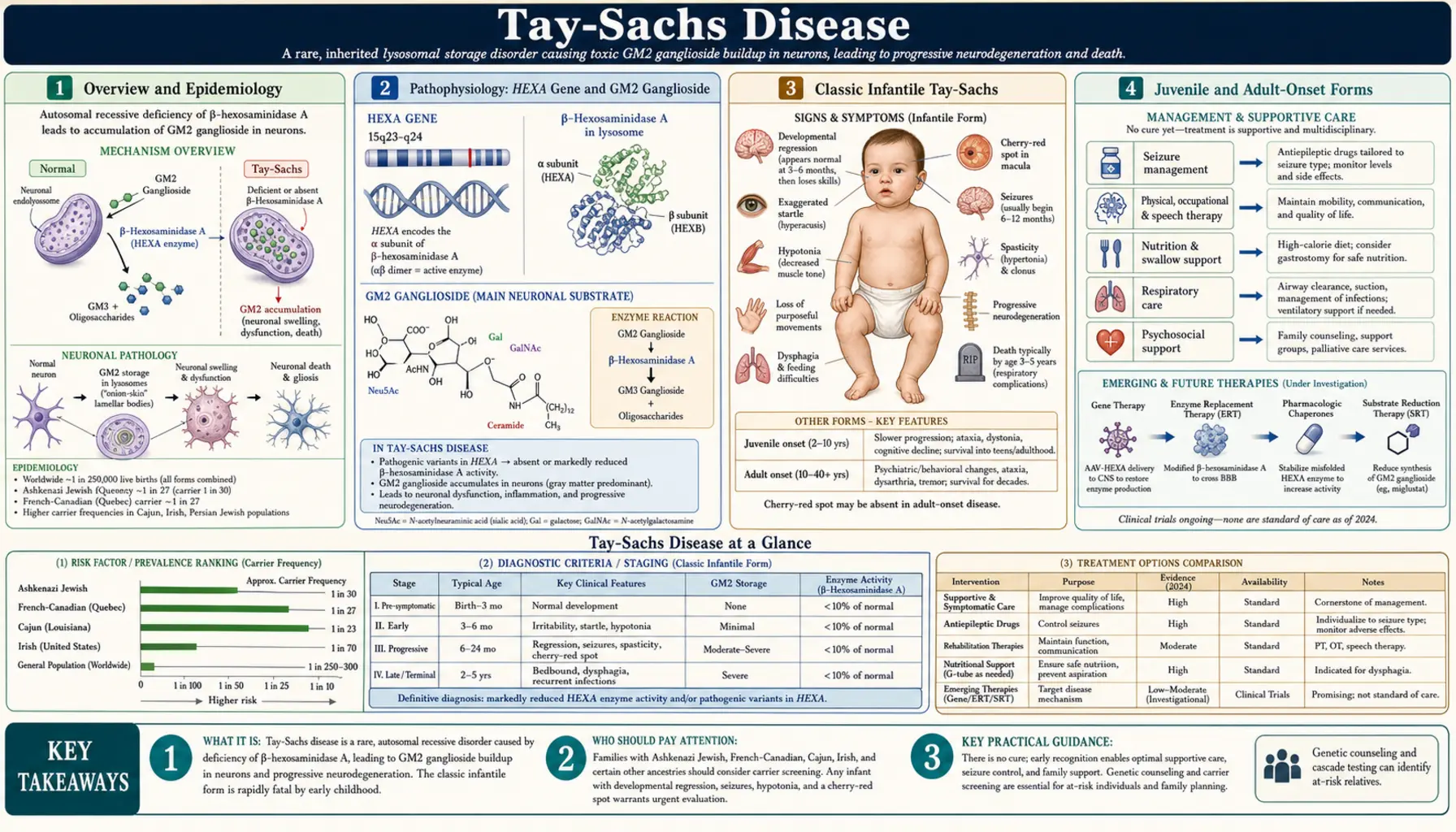 Tay Sachs Disease — scientific infographic poster