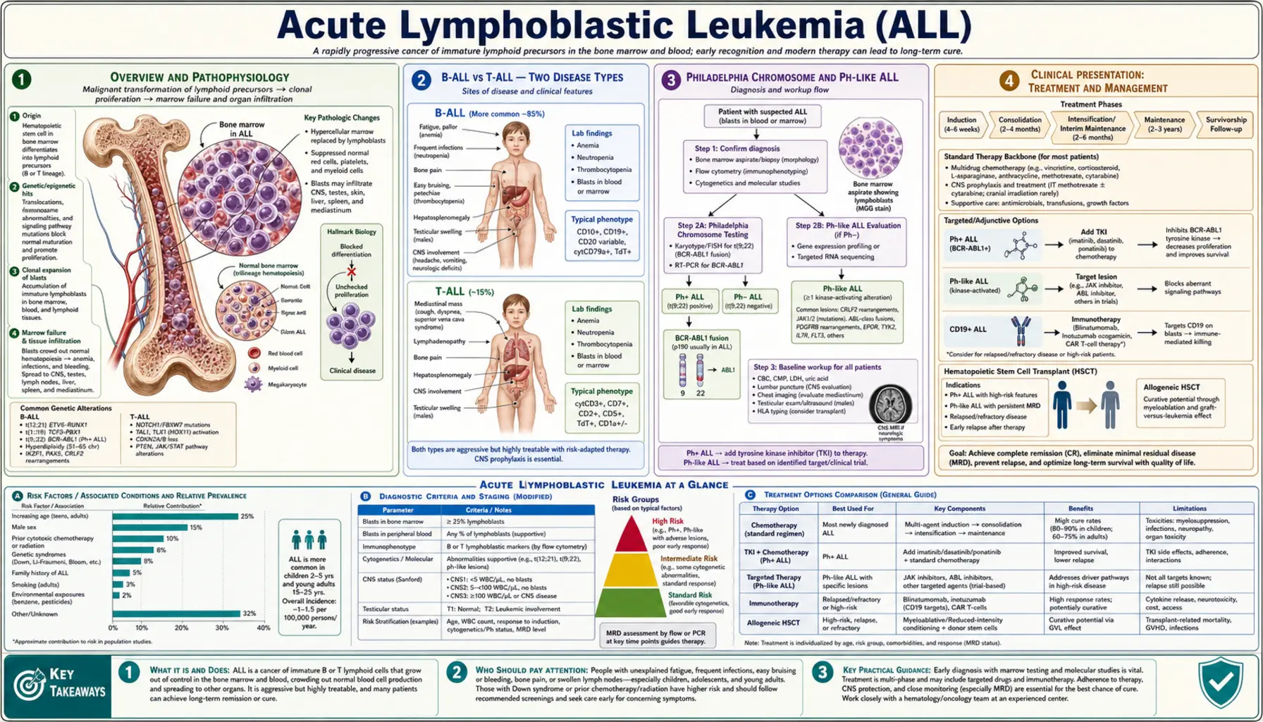 Acute Lymphoblastic Leukemia — scientific infographic poster