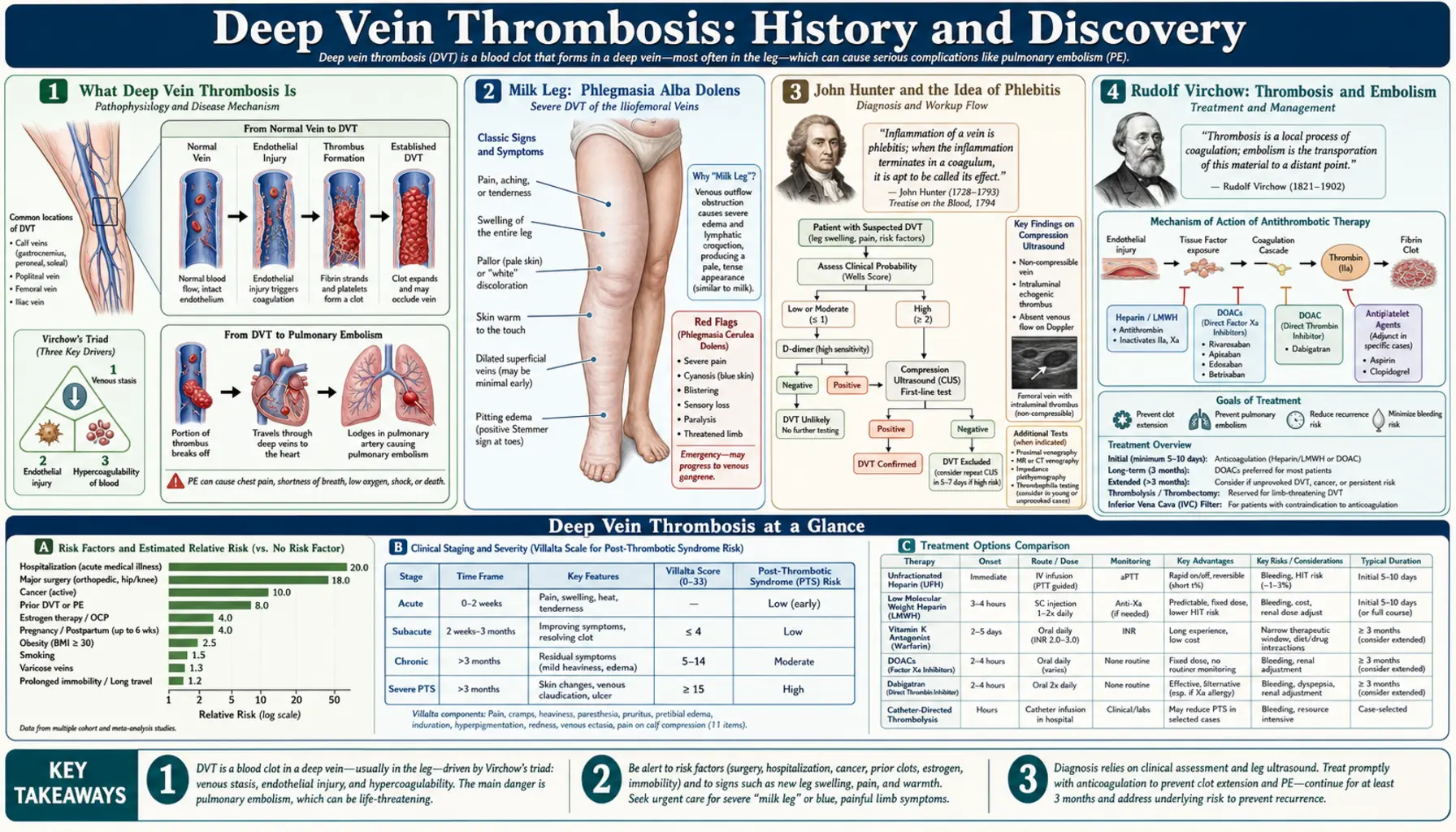 History — scientific infographic poster