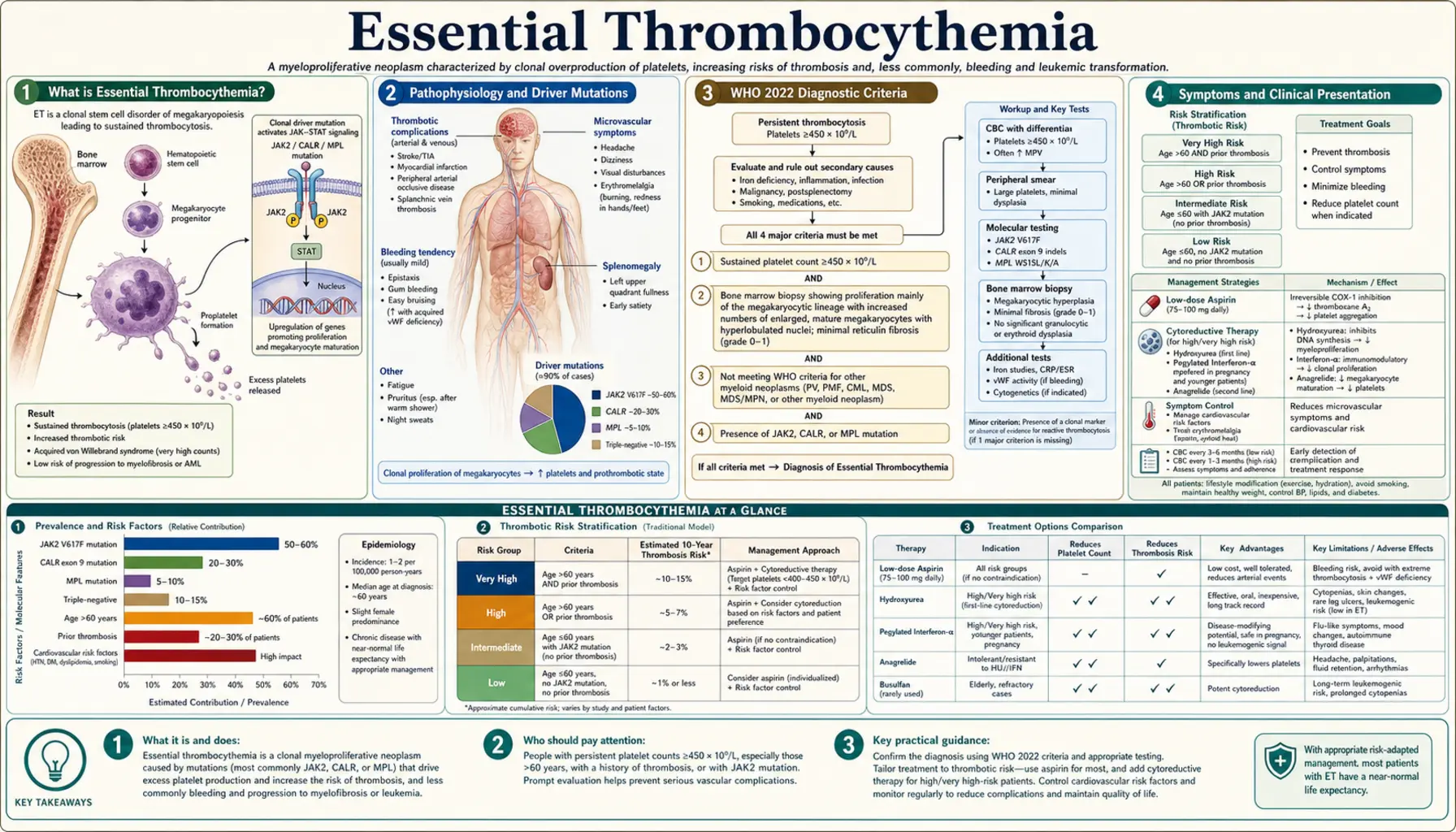 Essential Thrombocythemia — scientific infographic poster