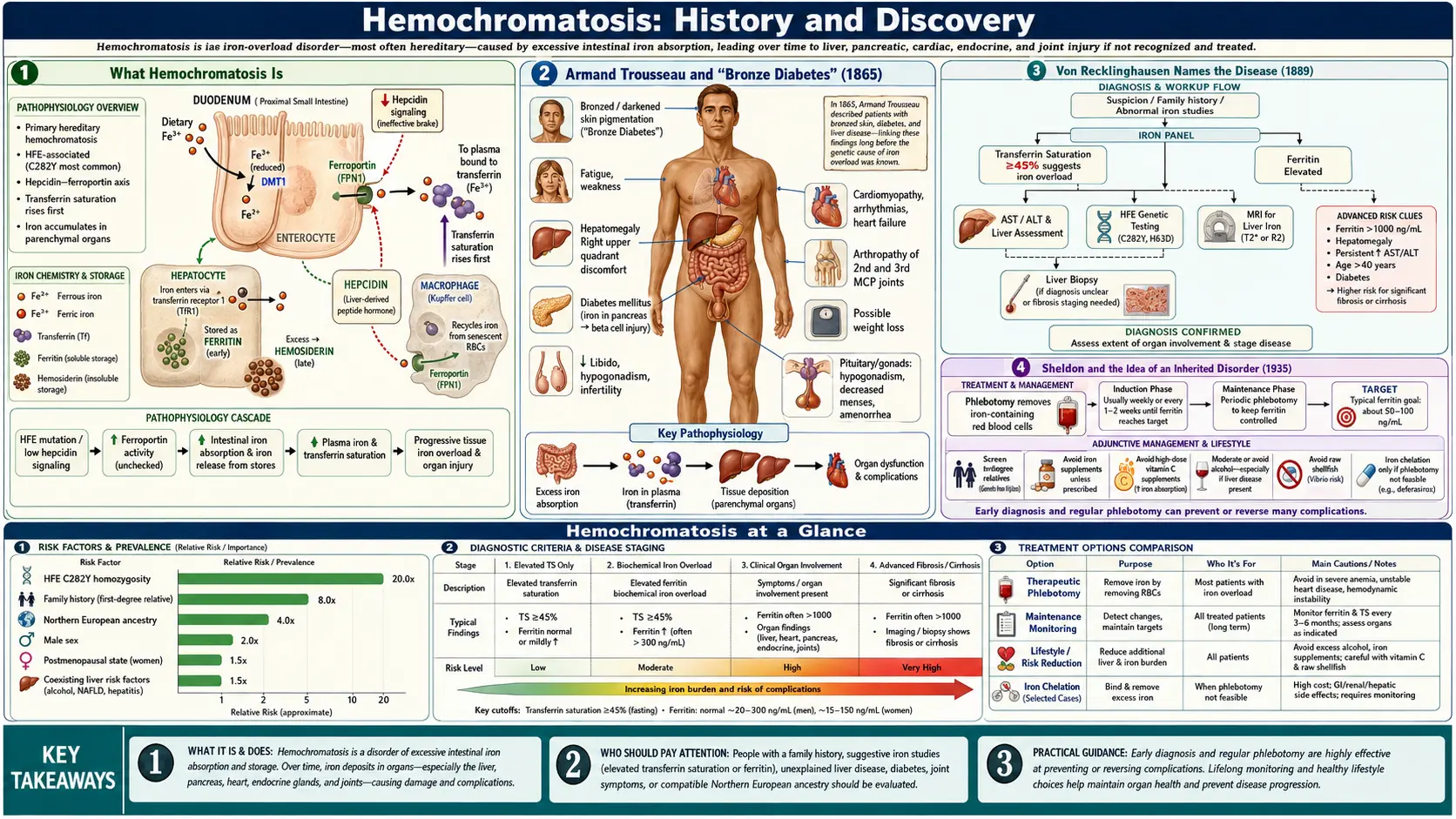 History — scientific infographic poster