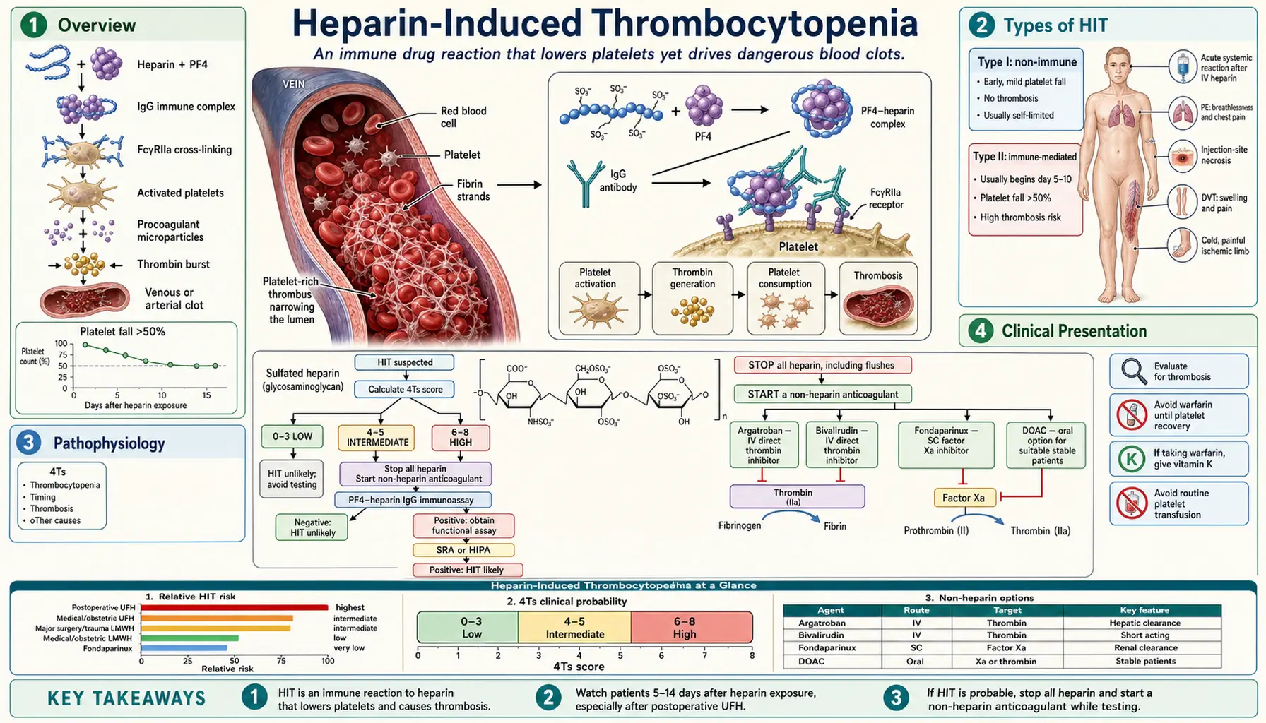 Heparin Induced Thrombocytopenia — scientific infographic poster