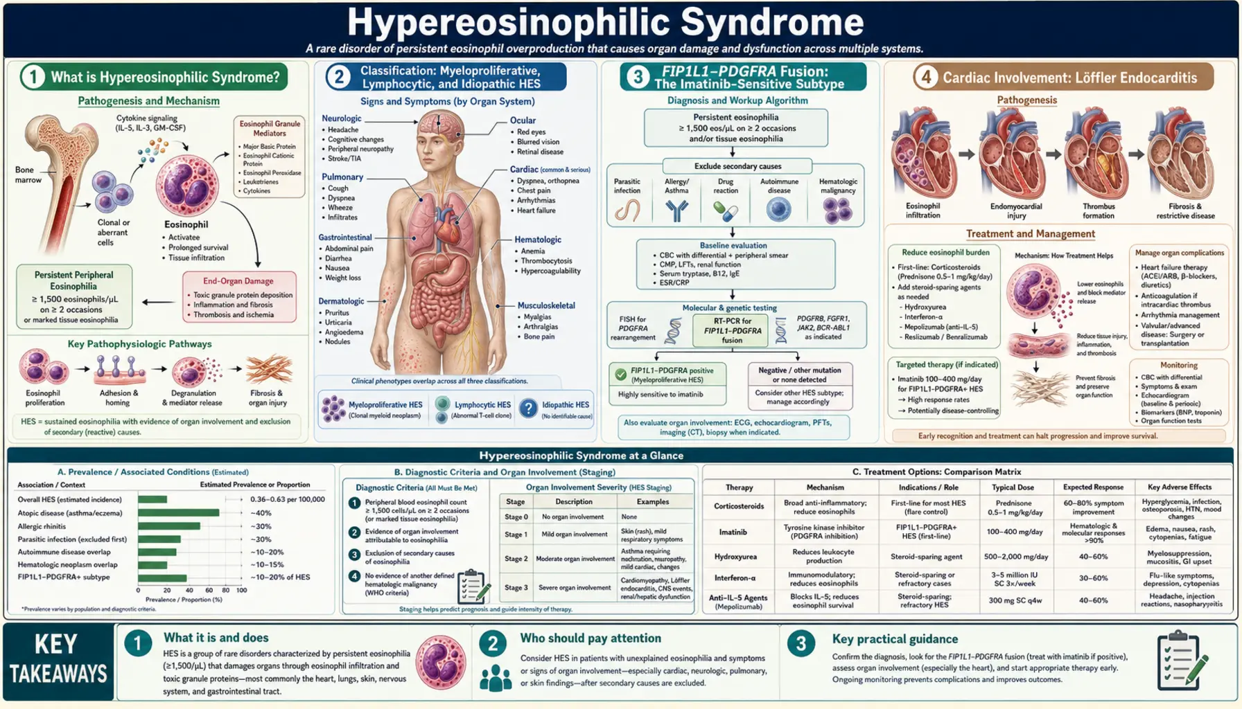 Hypereosinophilic Syndrome — scientific infographic poster