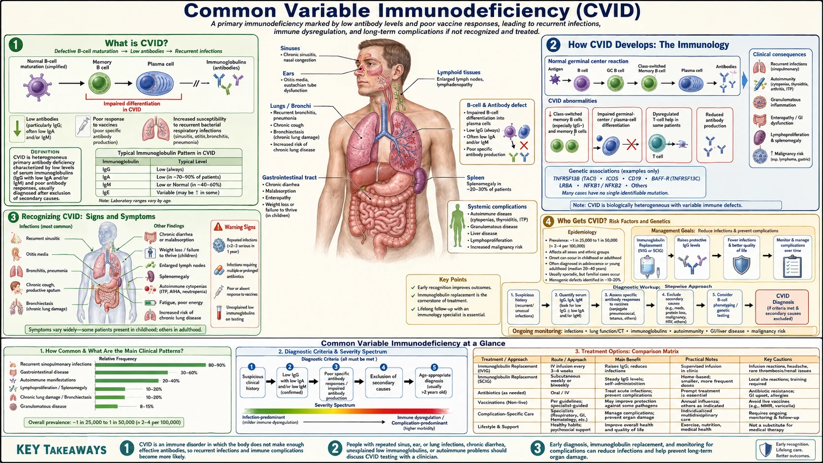 CVID — scientific infographic poster