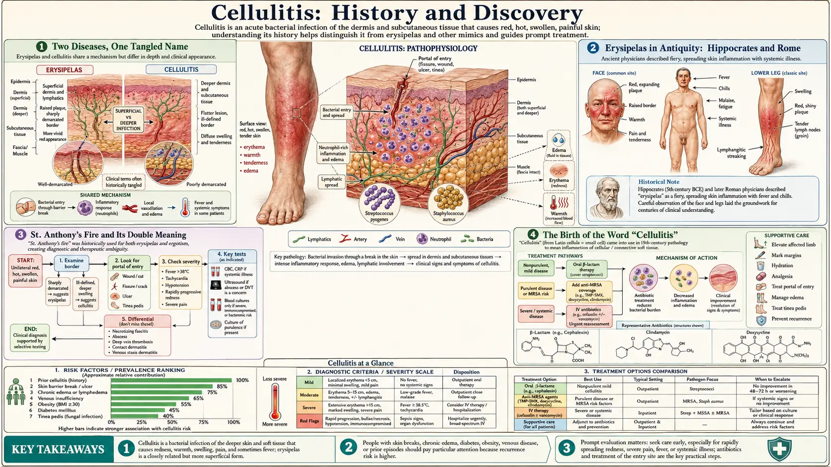 History — scientific infographic poster
