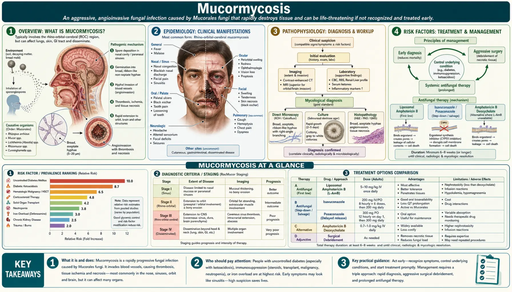 Mucormycosis — scientific infographic poster