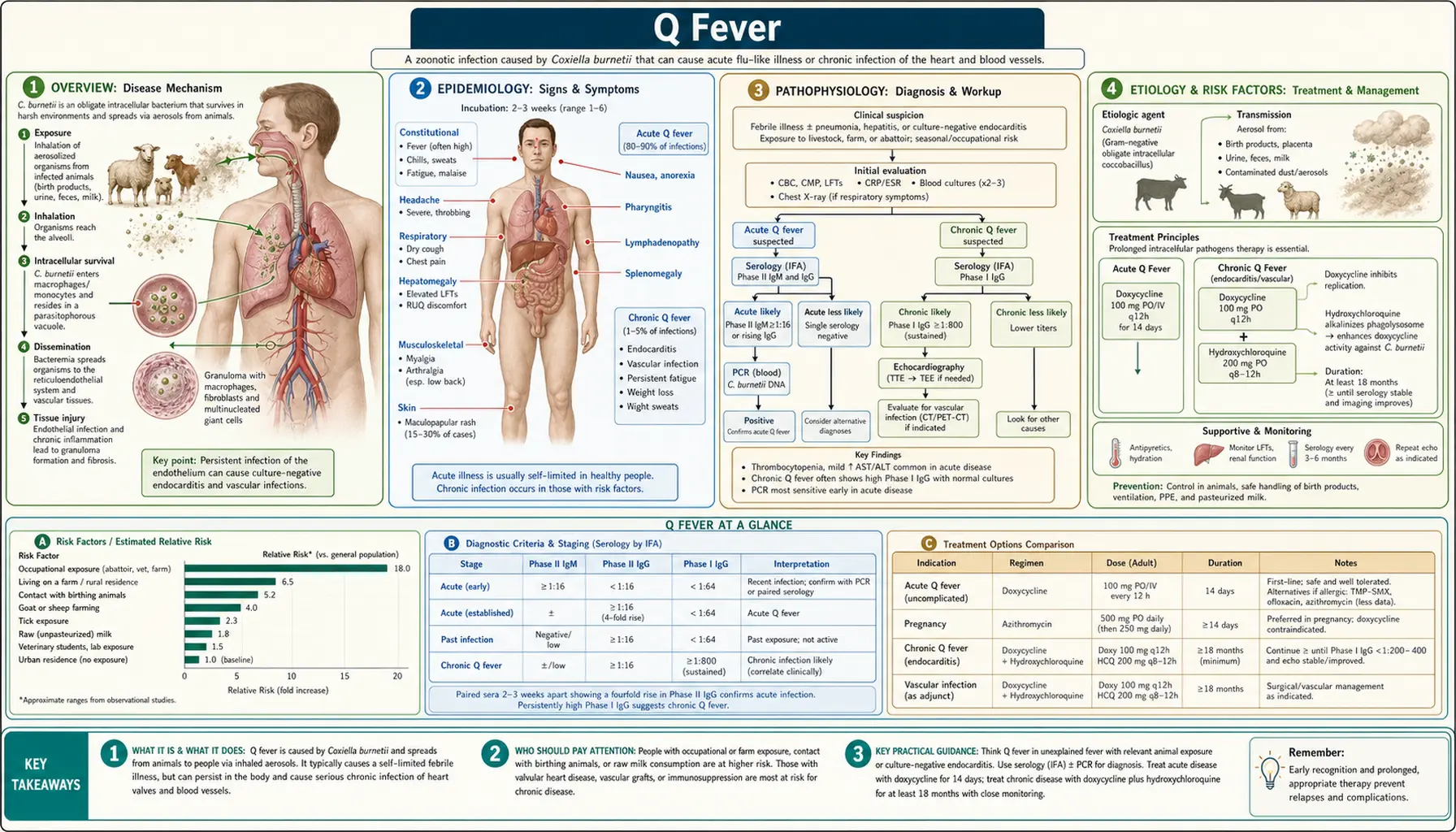 Q Fever — scientific infographic poster