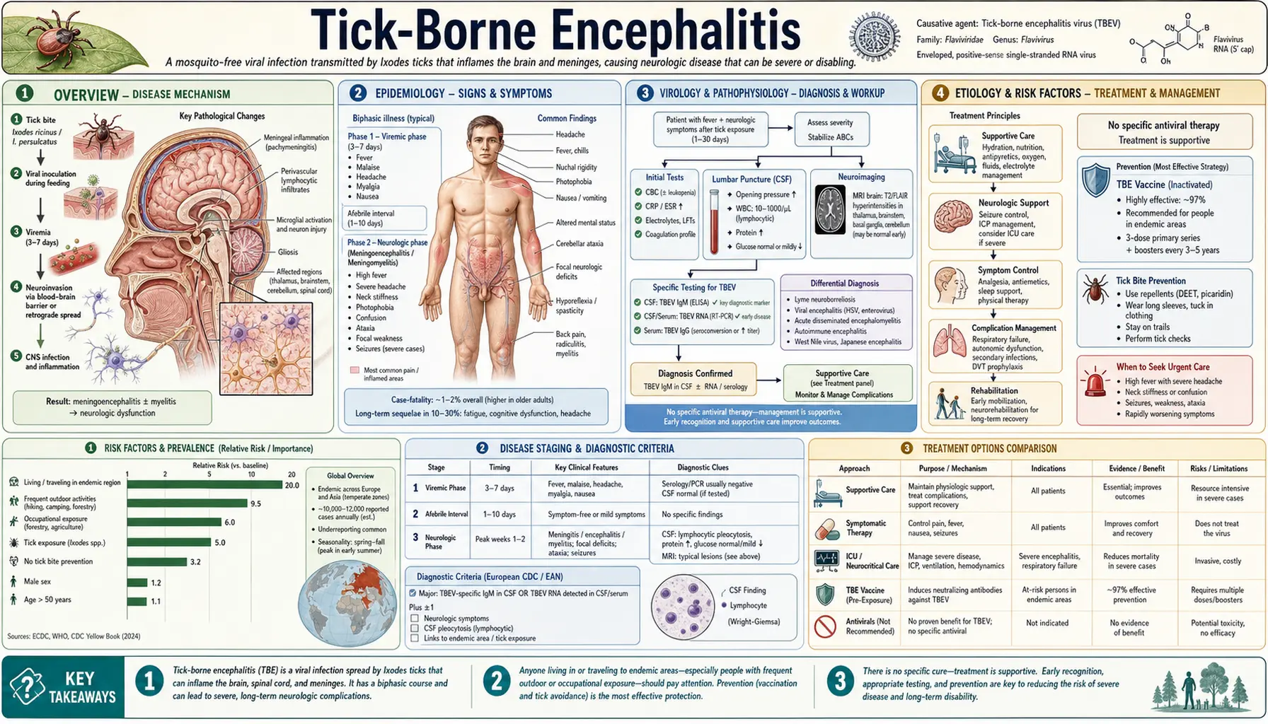 Tick Borne Encephalitis — scientific infographic poster