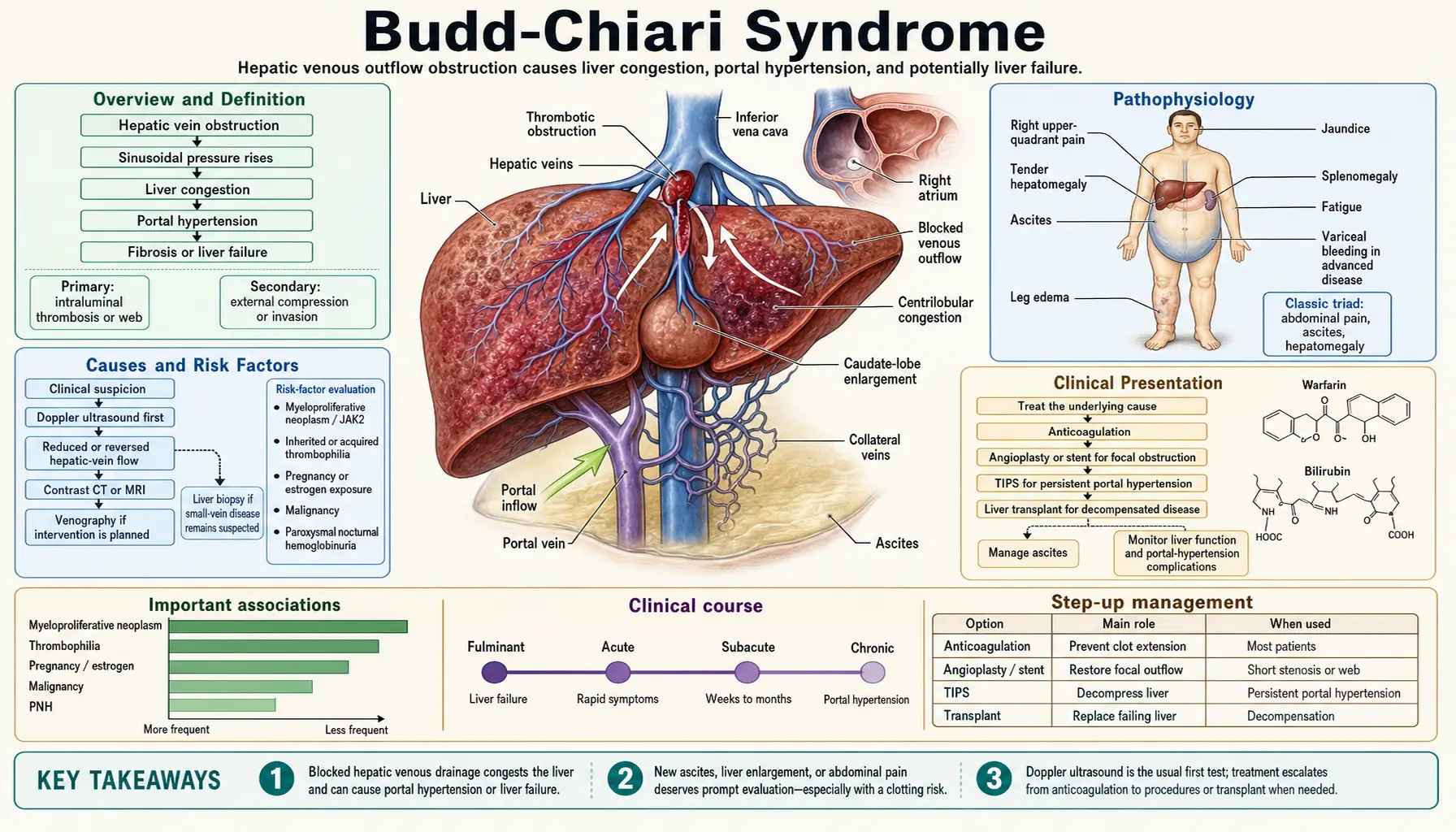 Budd Chiari Syndrome — scientific infographic poster