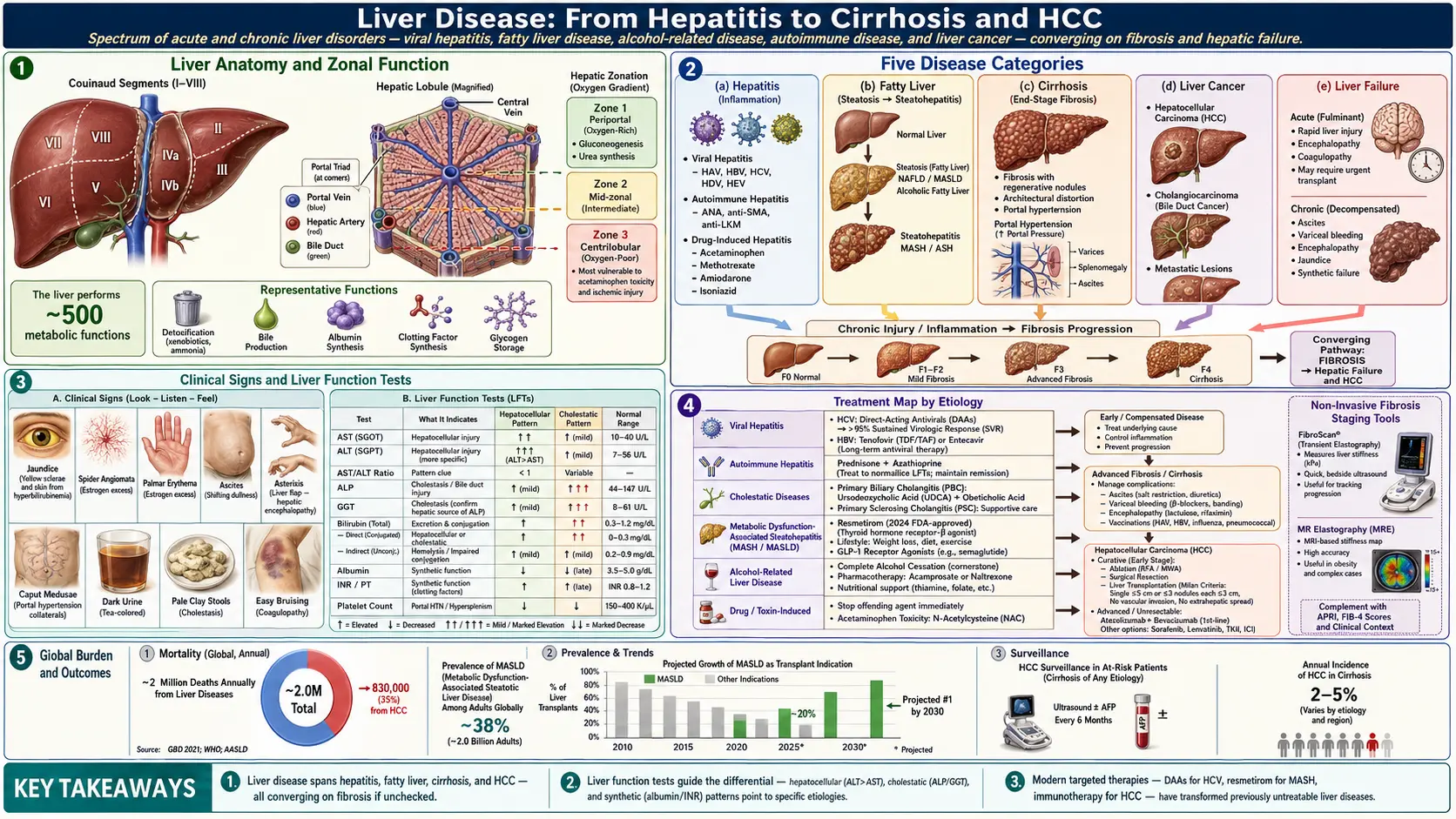 Liver Disease — scientific infographic poster