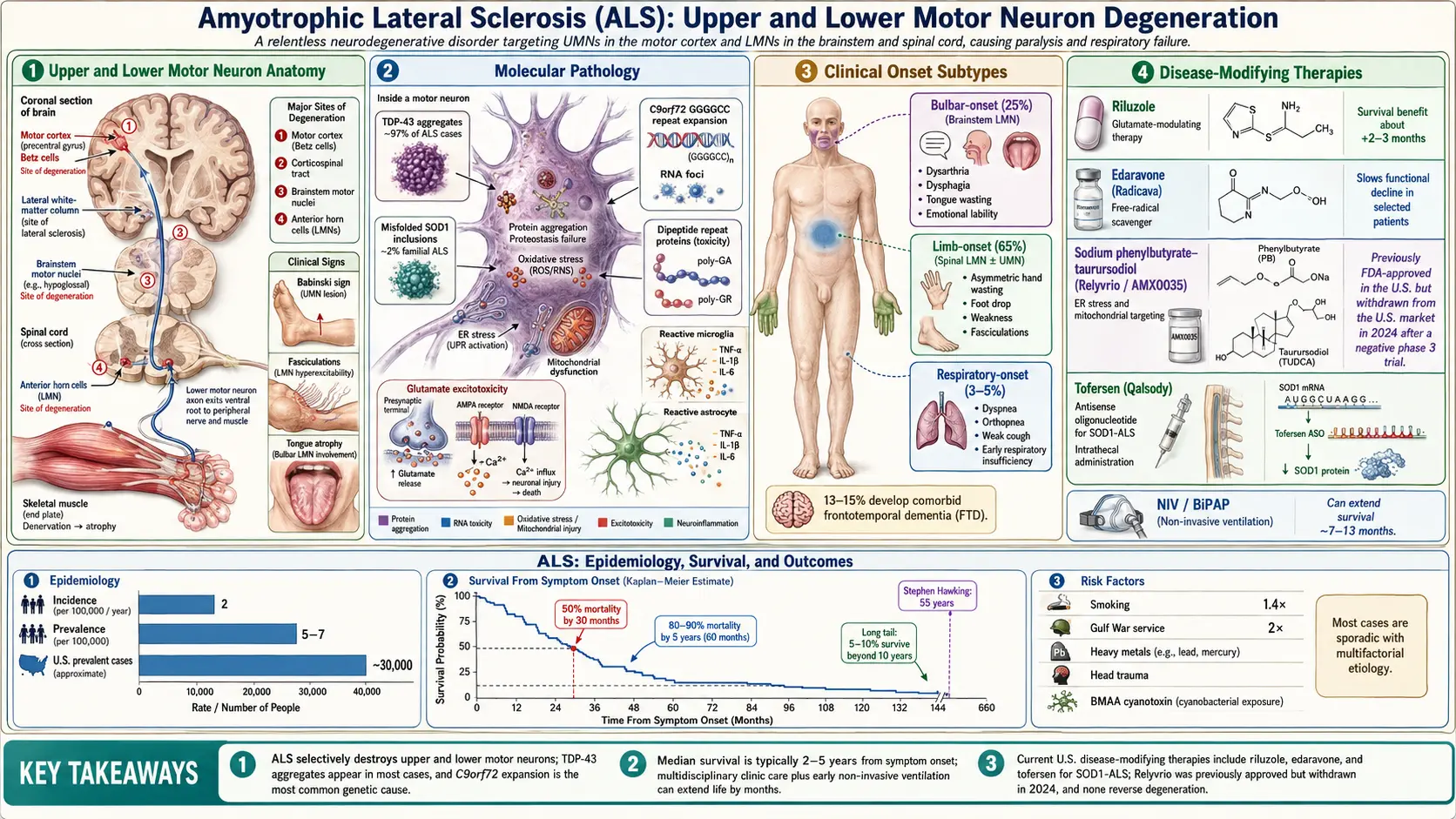 ALS — scientific infographic poster