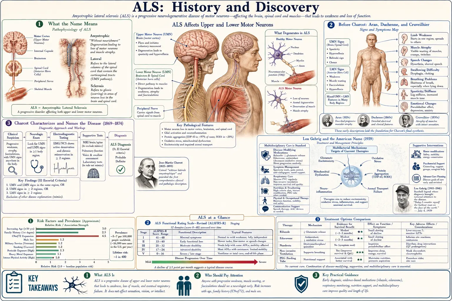 History — scientific infographic poster
