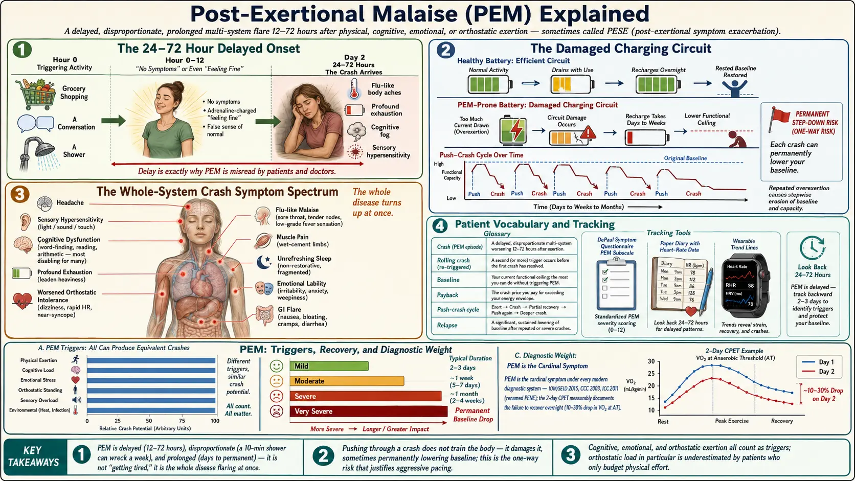 Post Exertional Malaise Explained — scientific infographic poster