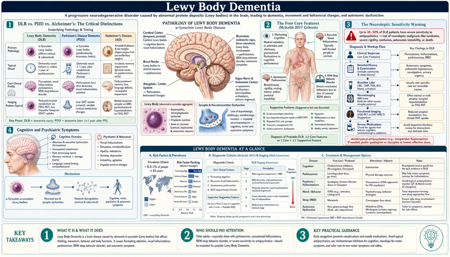 Lewy Body Dementia — scientific infographic poster