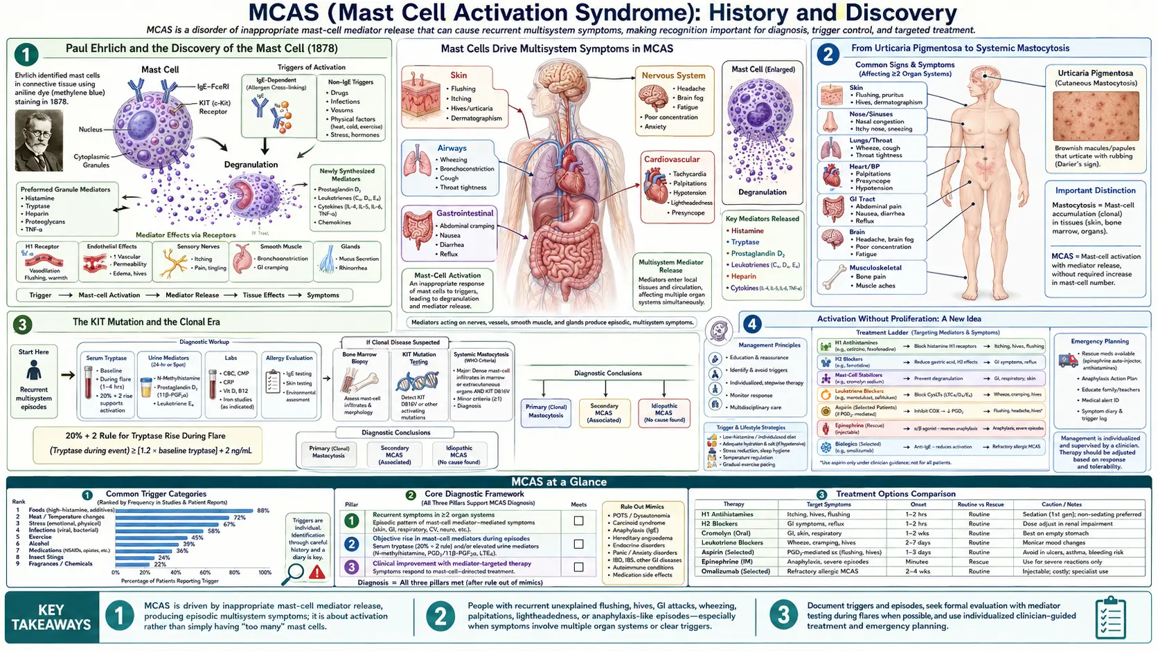 History — scientific infographic poster