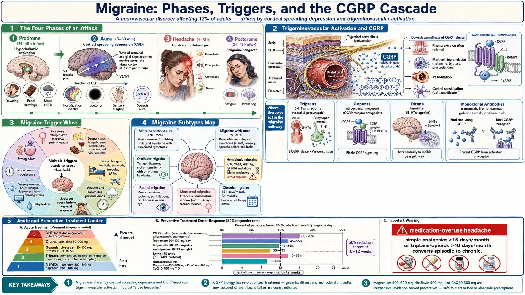 Migraine — scientific infographic poster