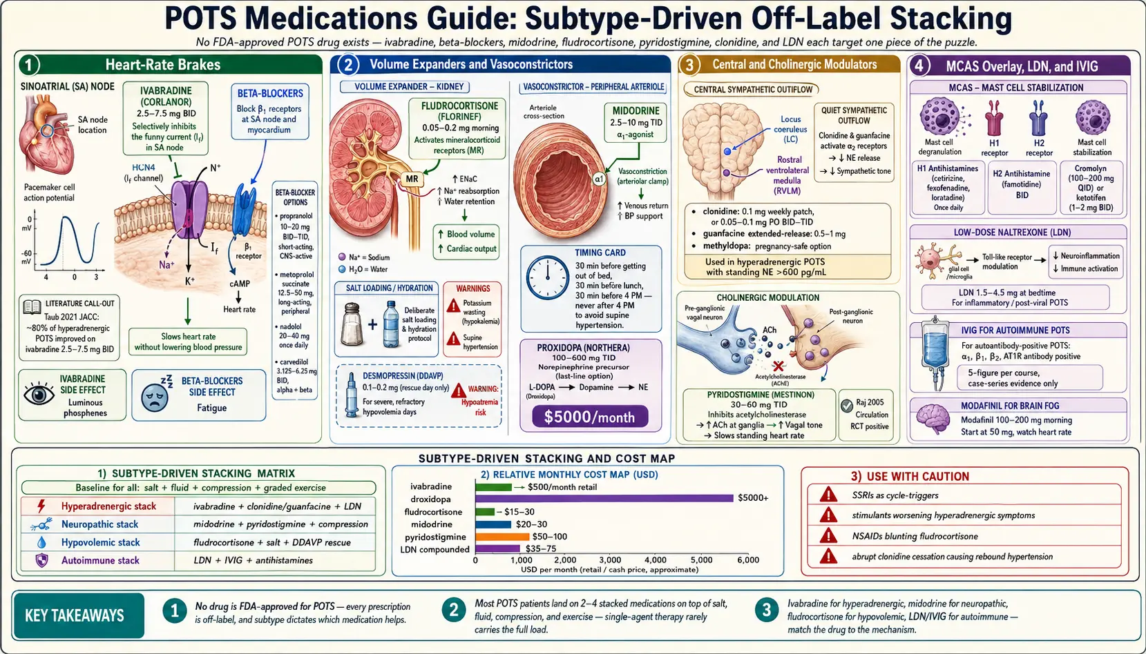 Medications Guide — scientific infographic poster