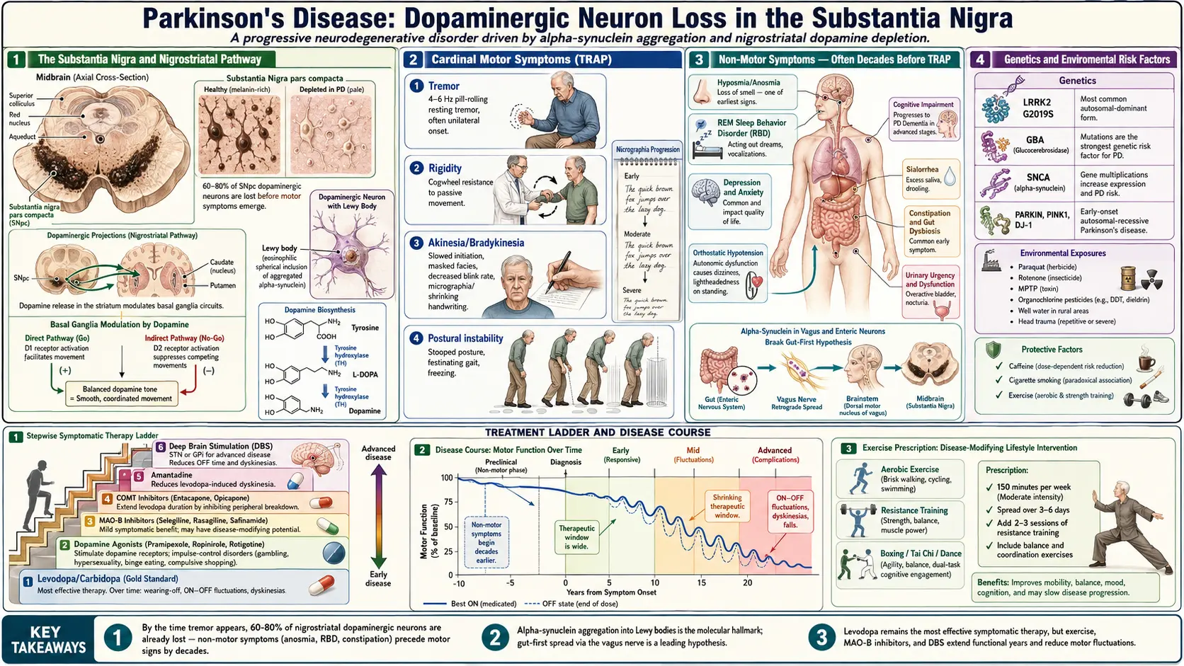 Parkinsons Disease — scientific infographic poster