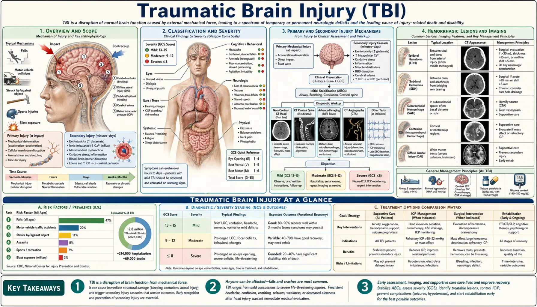 Traumatic Brain Injury — scientific infographic poster