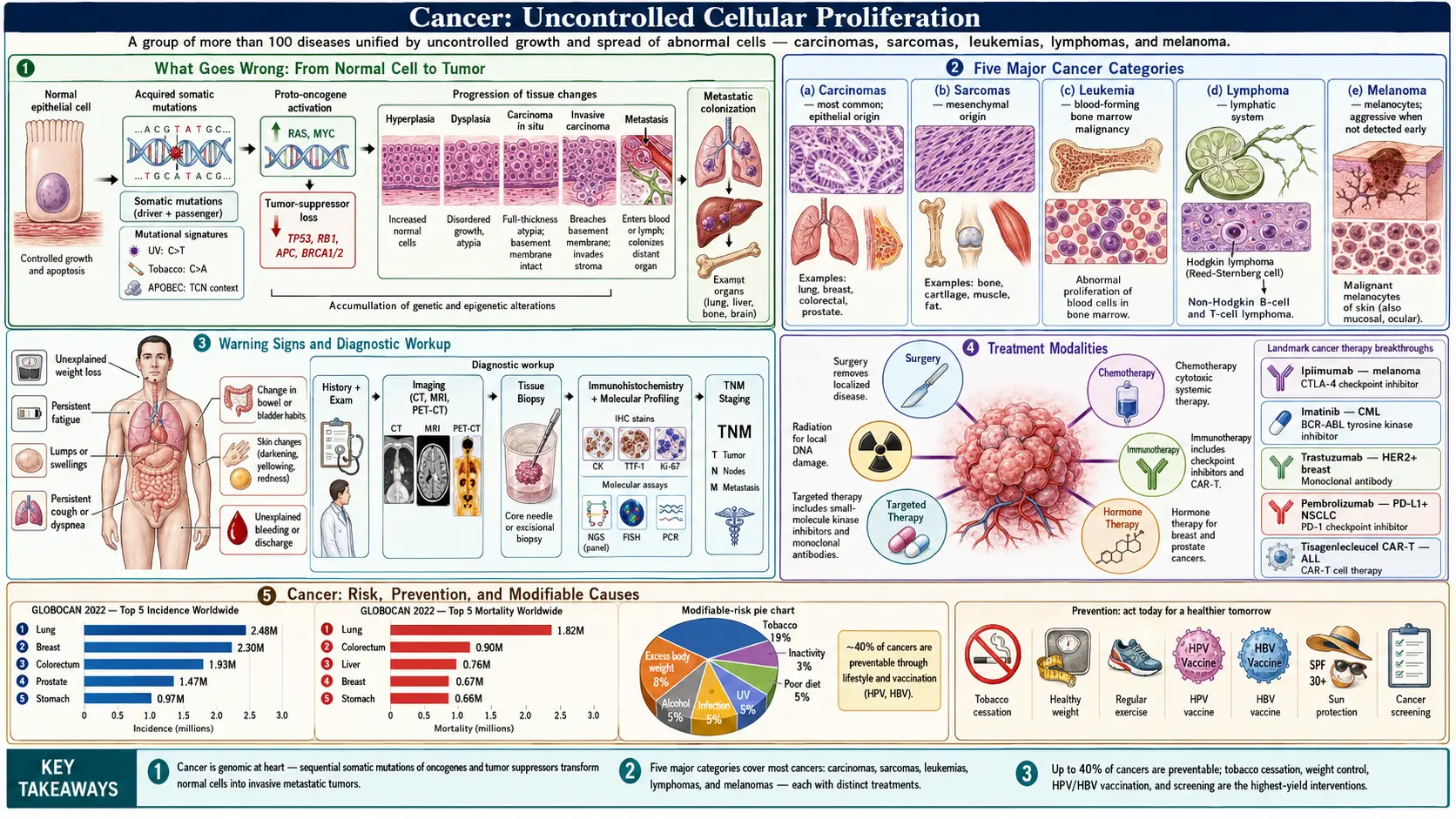 Cancer — scientific infographic poster