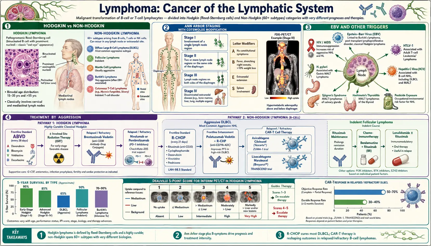 Lymphoma — scientific infographic poster