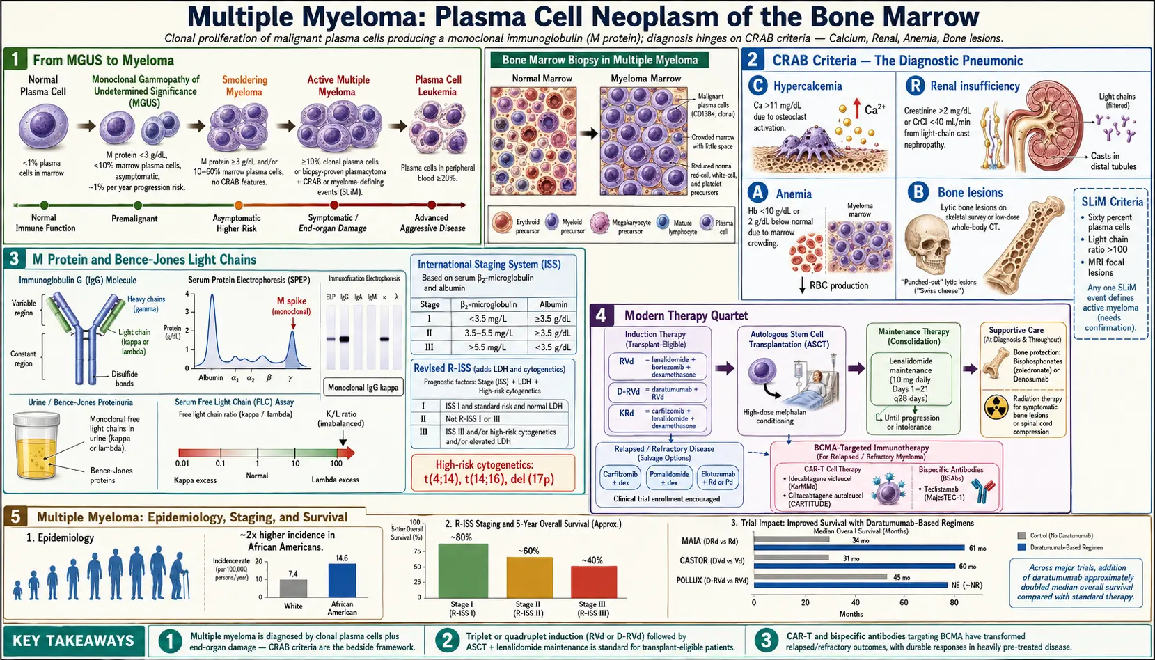 Multiple Myeloma — scientific infographic poster