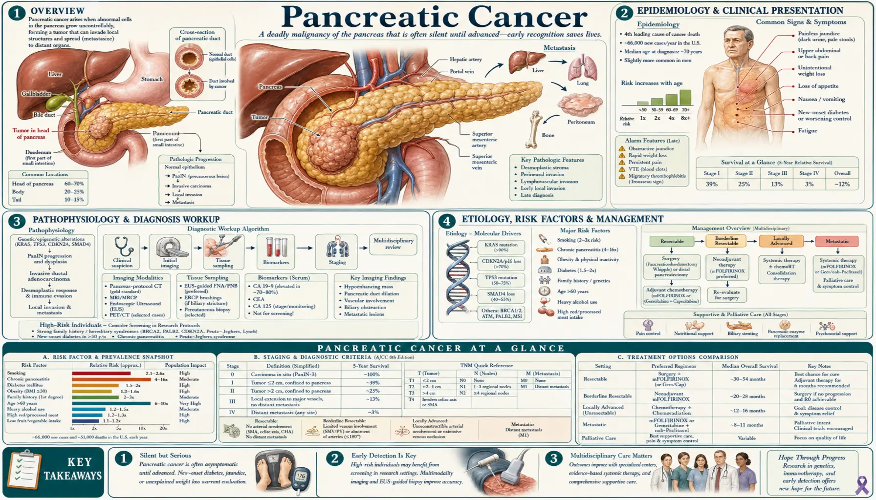 Pancreatic Cancer — scientific infographic poster