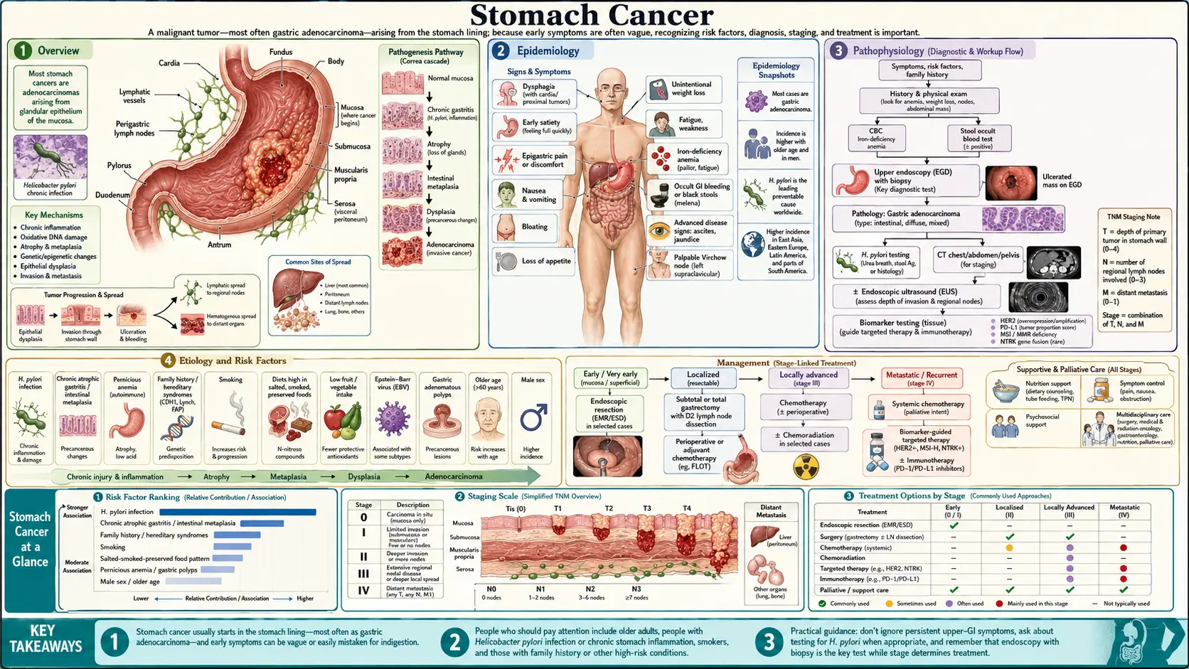 Stomach Cancer — scientific infographic poster