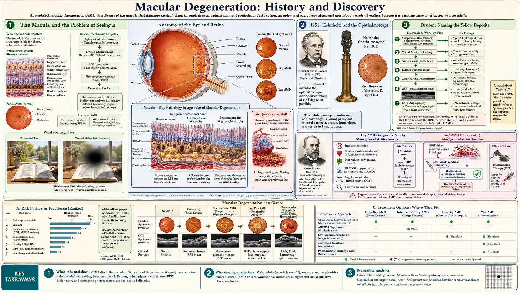 History — scientific infographic poster
